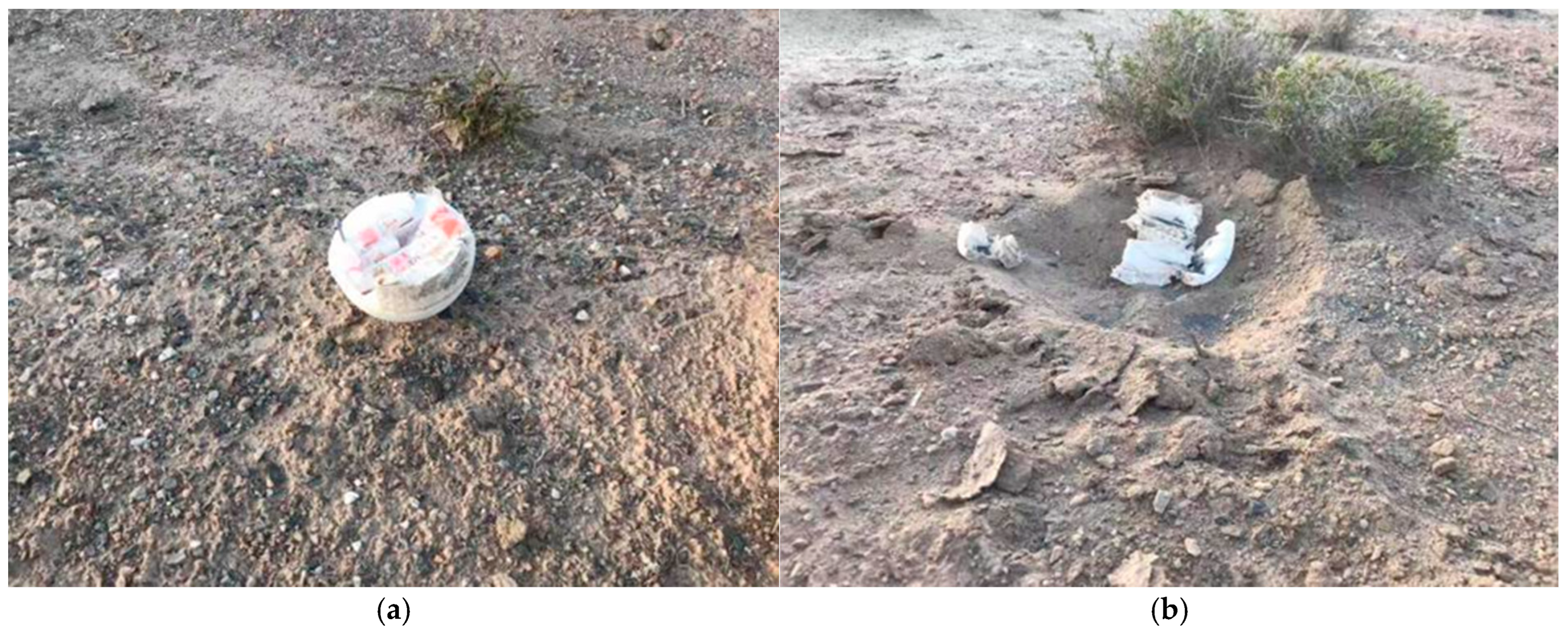 Applsci 15 11758 g015