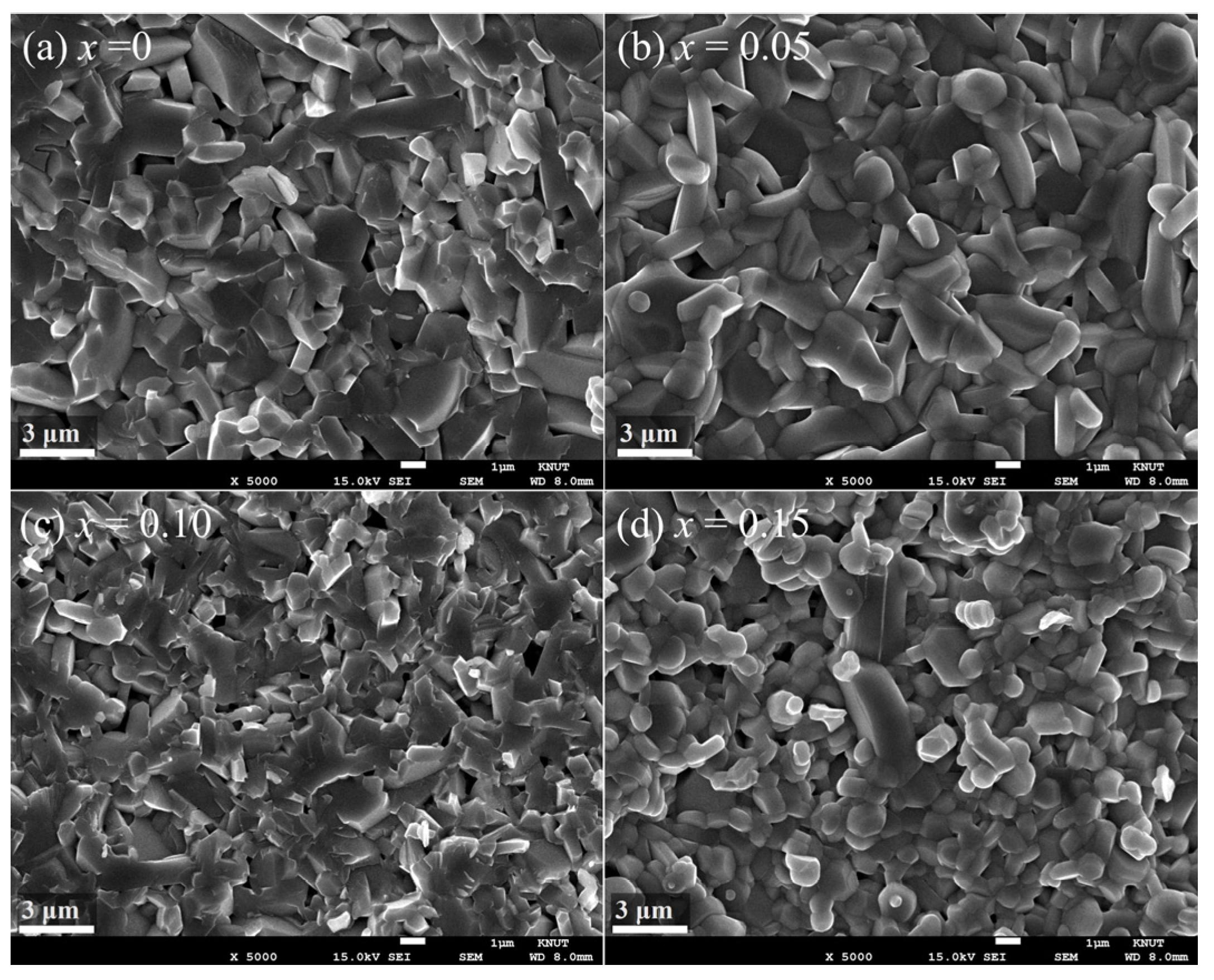 Applsci 15 11764 g002