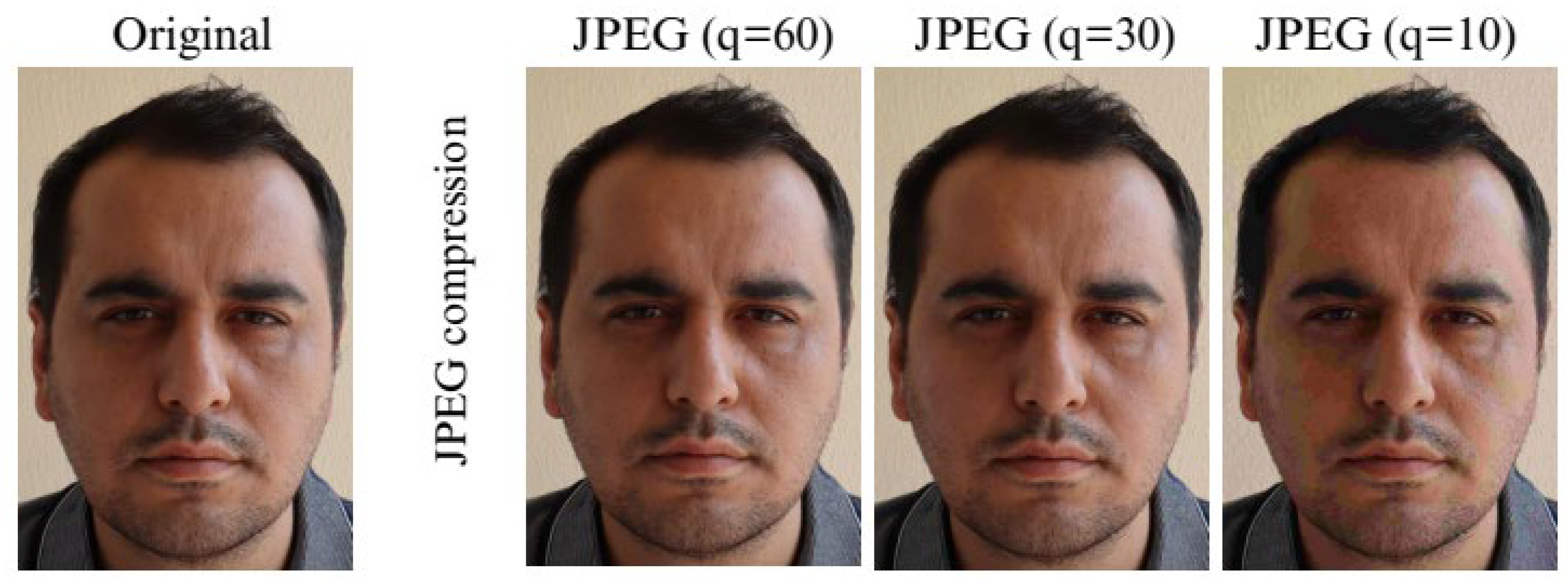 Applsci 15 11767 g004