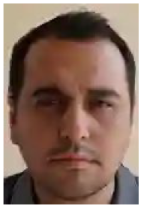 Applsci 15 11767 i005