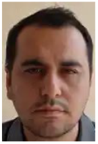 Applsci 15 11767 i006