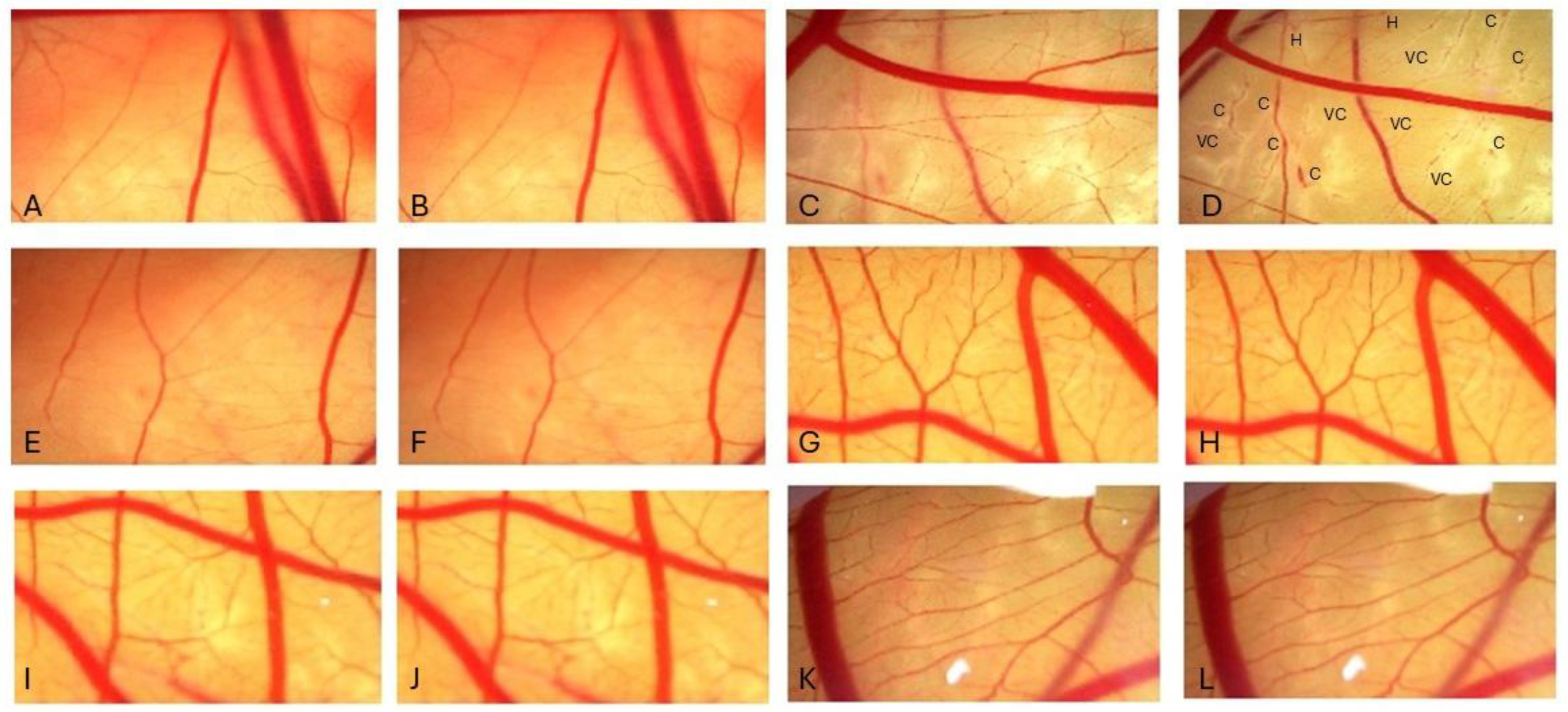 Applsci 15 11773 g002 Applsci 15 11773 g002