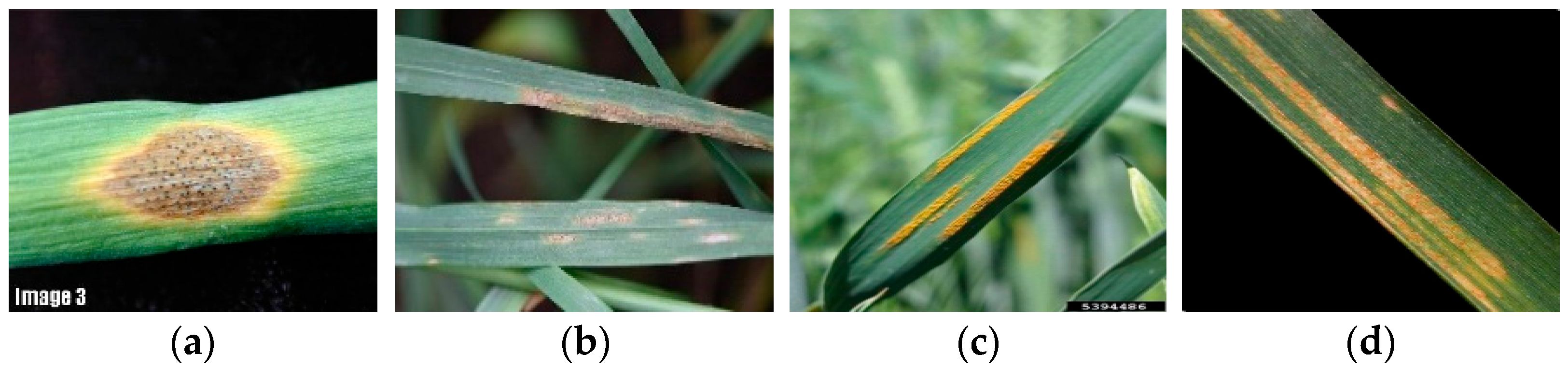 Applsci 15 11778 g005