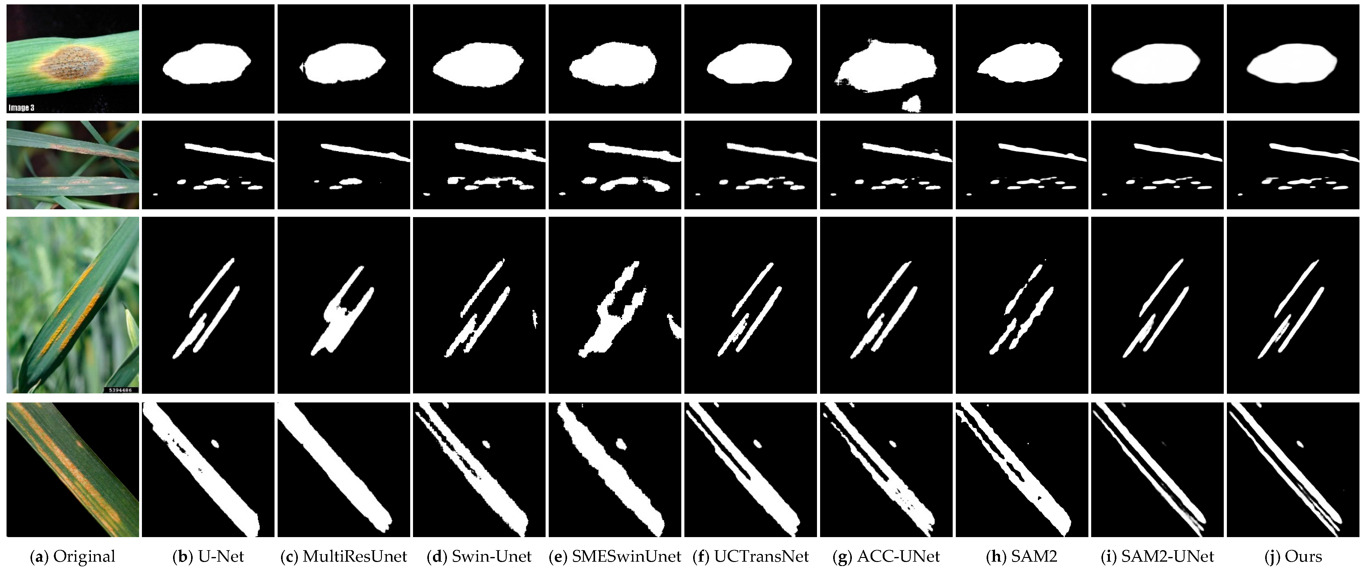 Applsci 15 11778 g006