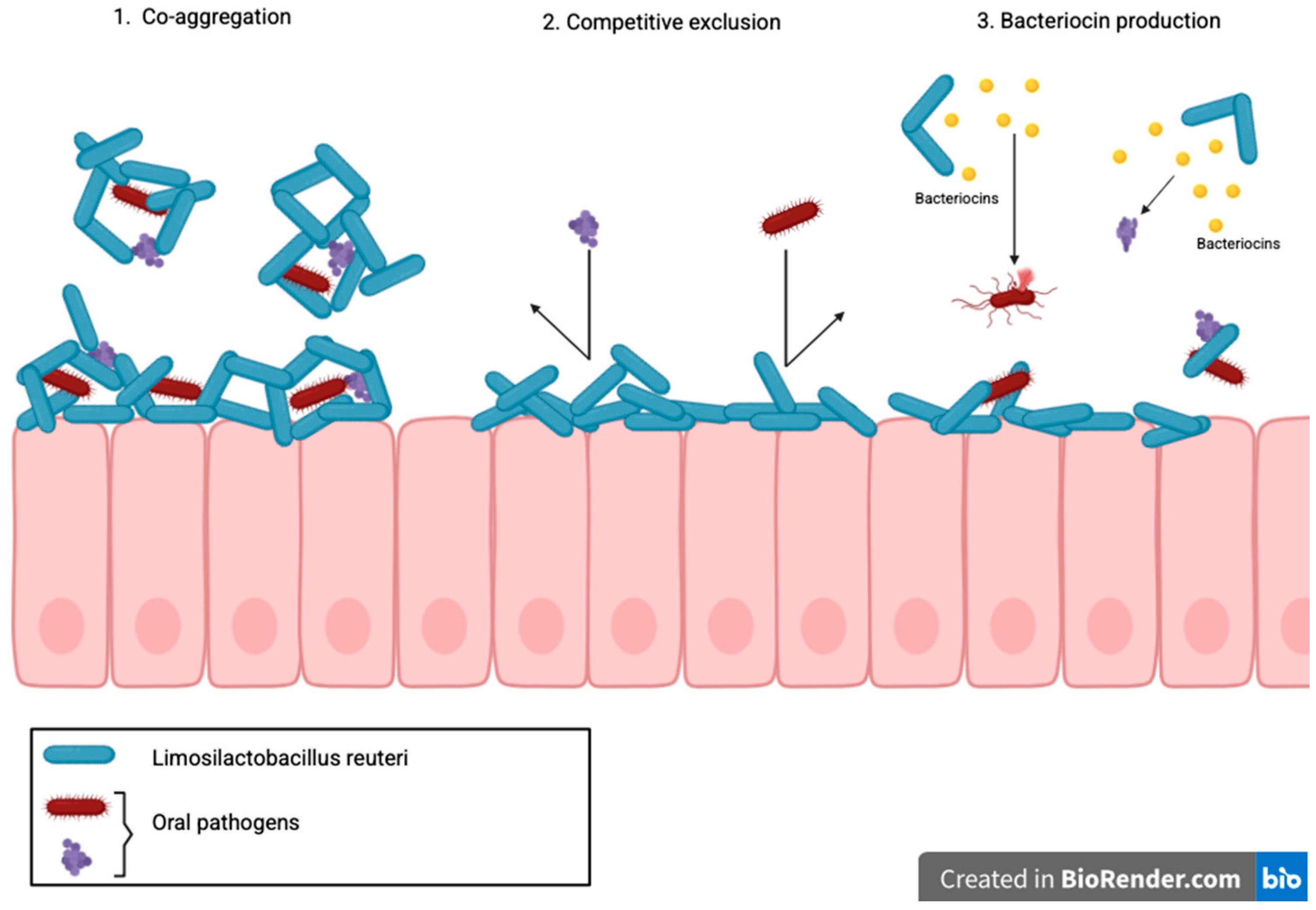 Applsci 15 11783 g001