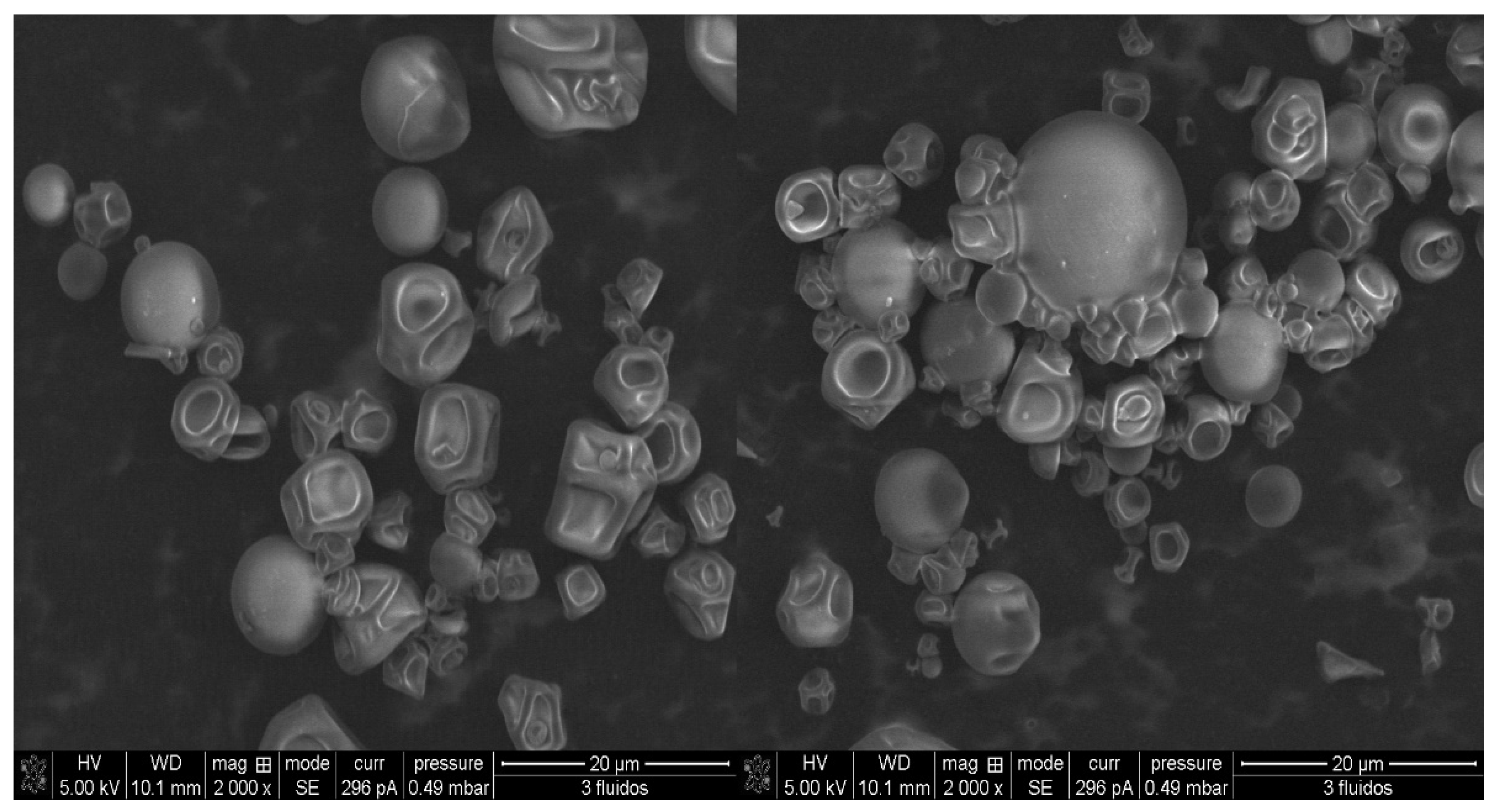 Applsci 15 11798 g006 Applsci 15 11798 g006