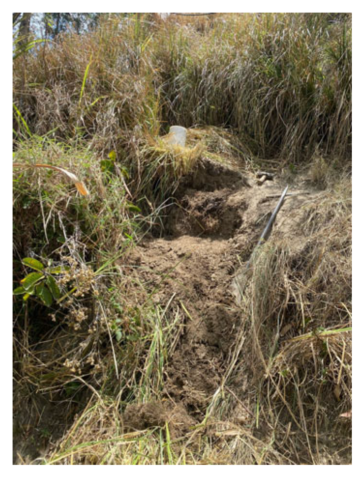 Applsci 15 11810 g003