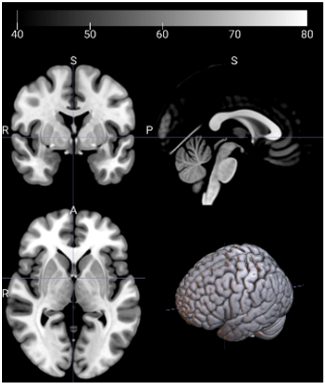 Applsci 15 11812 g001