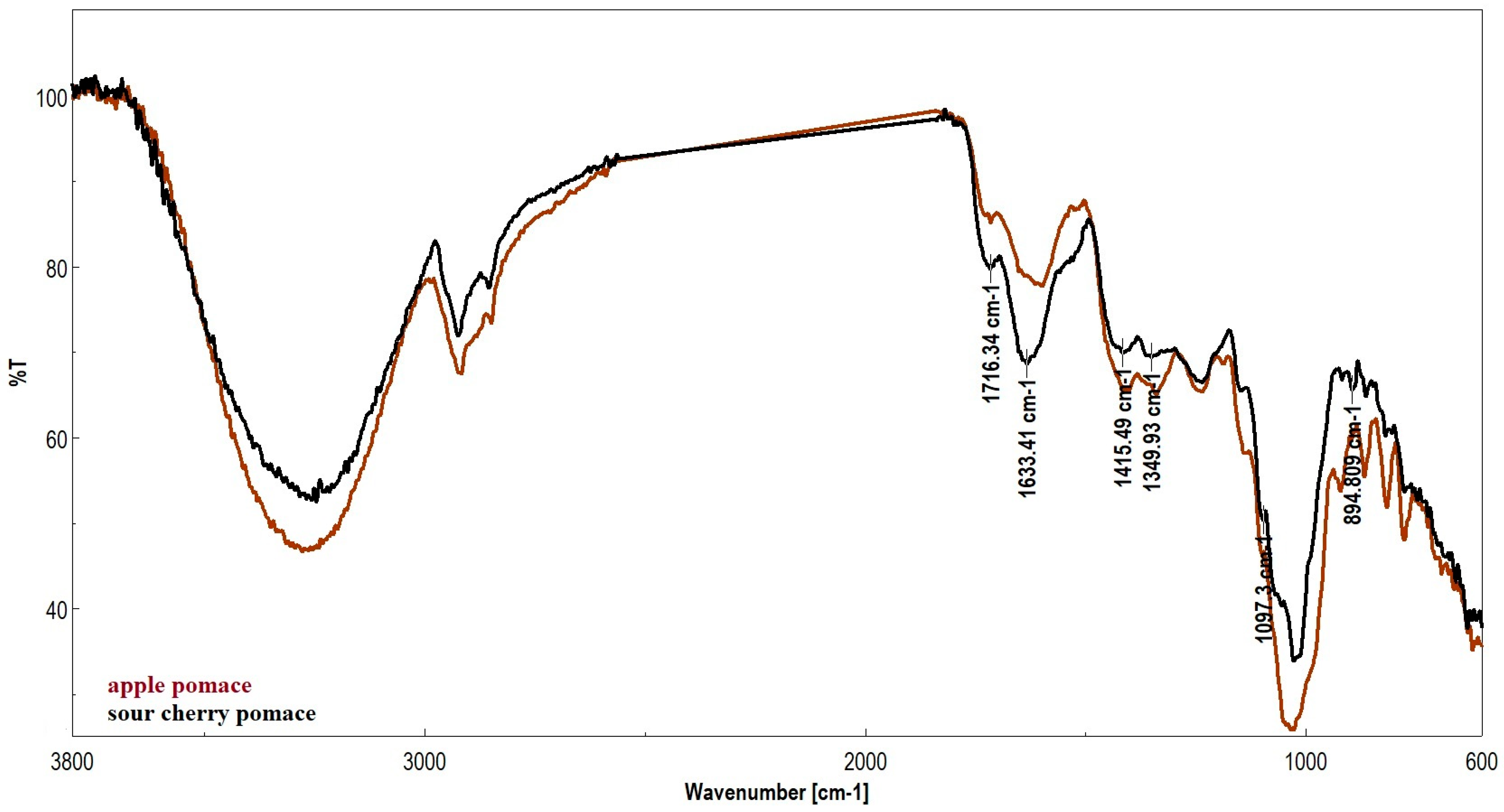 Applsci 15 11823 g001 Applsci 15 11823 g001