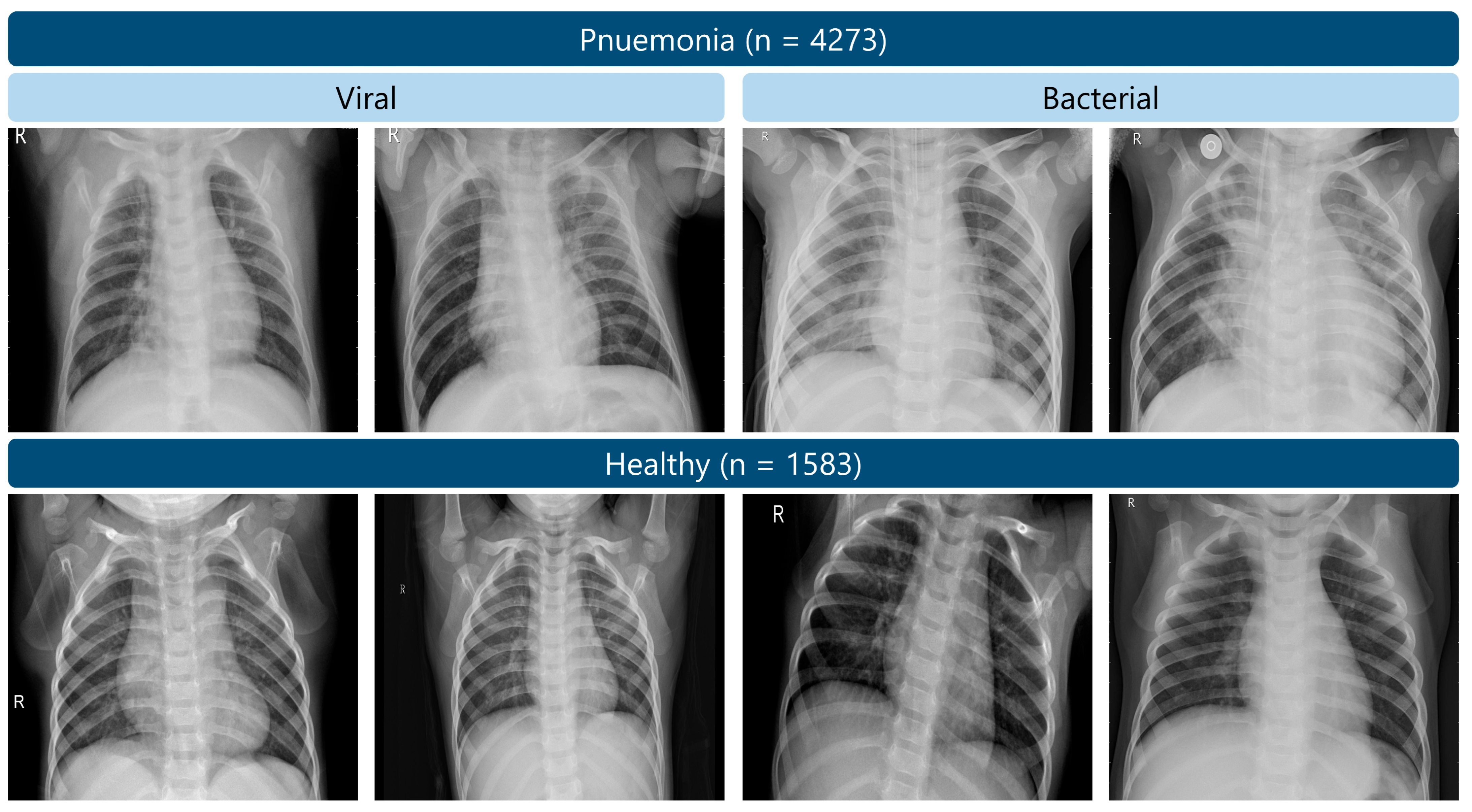 Applsci 15 11824 g002 Applsci 15 11824 g002