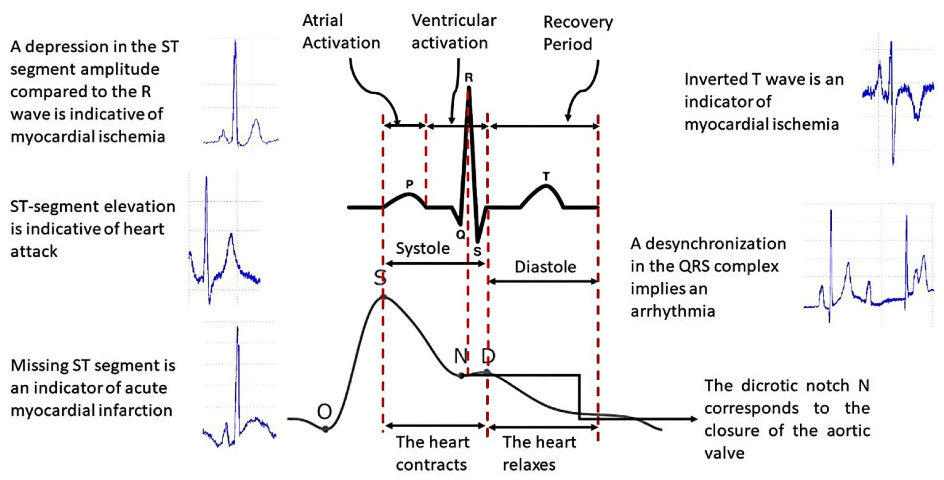Applsci 15 11829 g002 Applsci 15 11829 g002