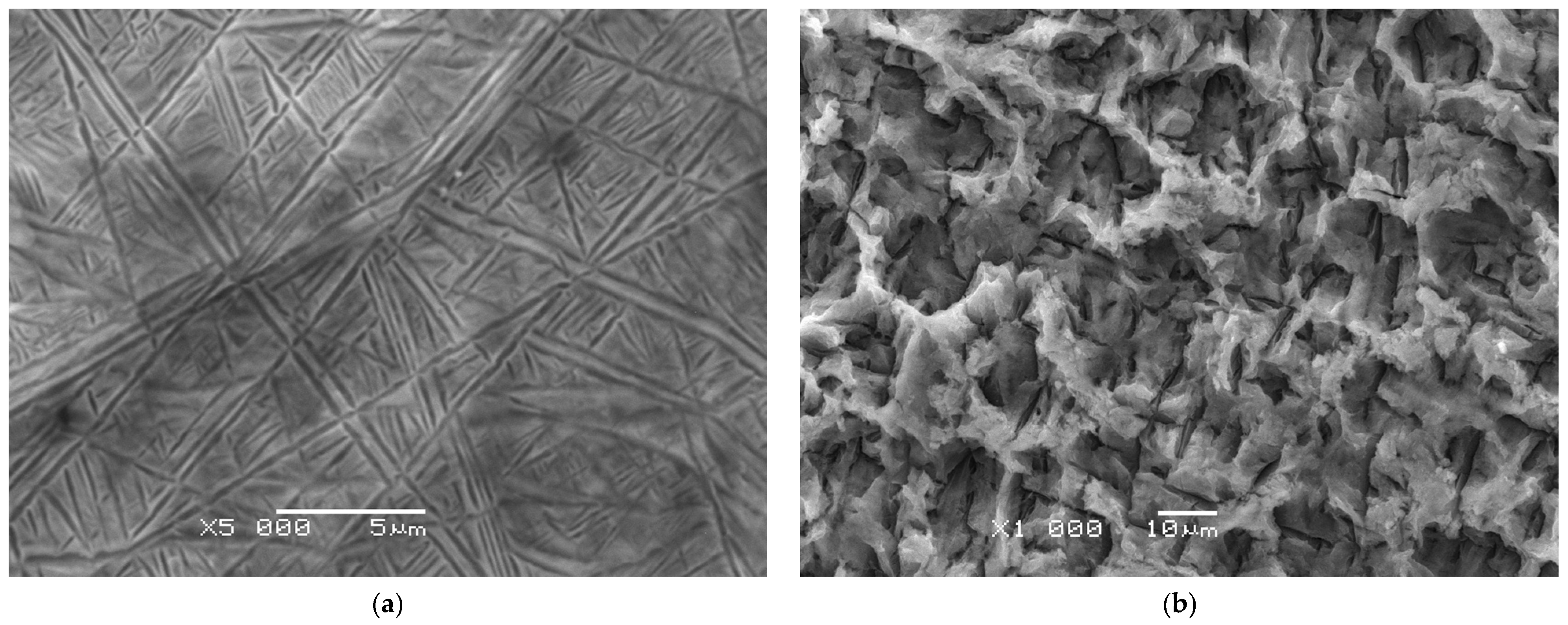 Applsci 15 11830 g002