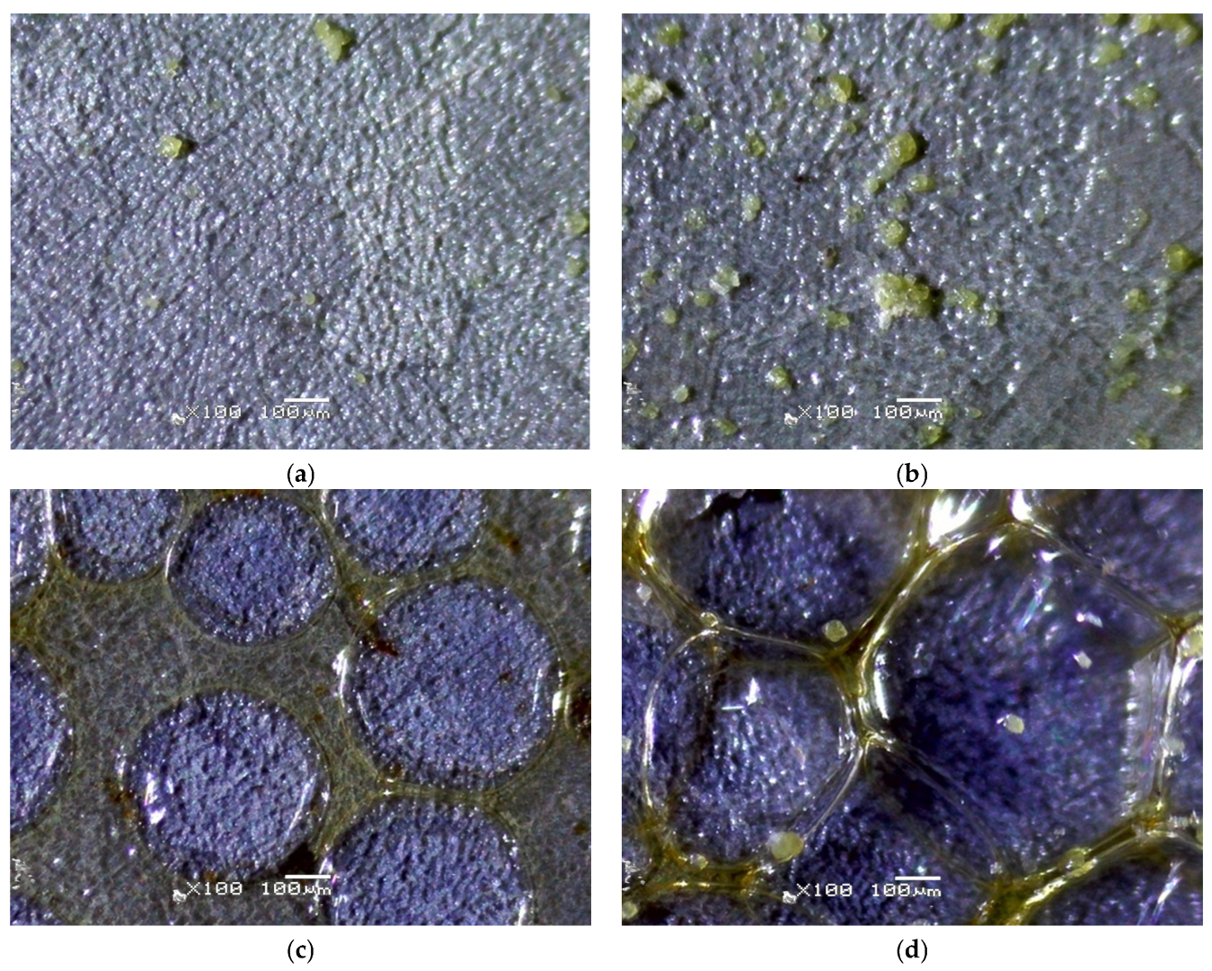 Applsci 15 11830 g004