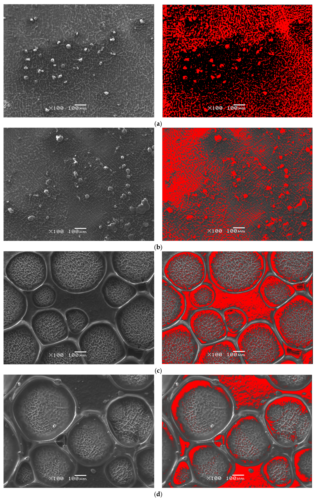 Applsci 15 11830 g005