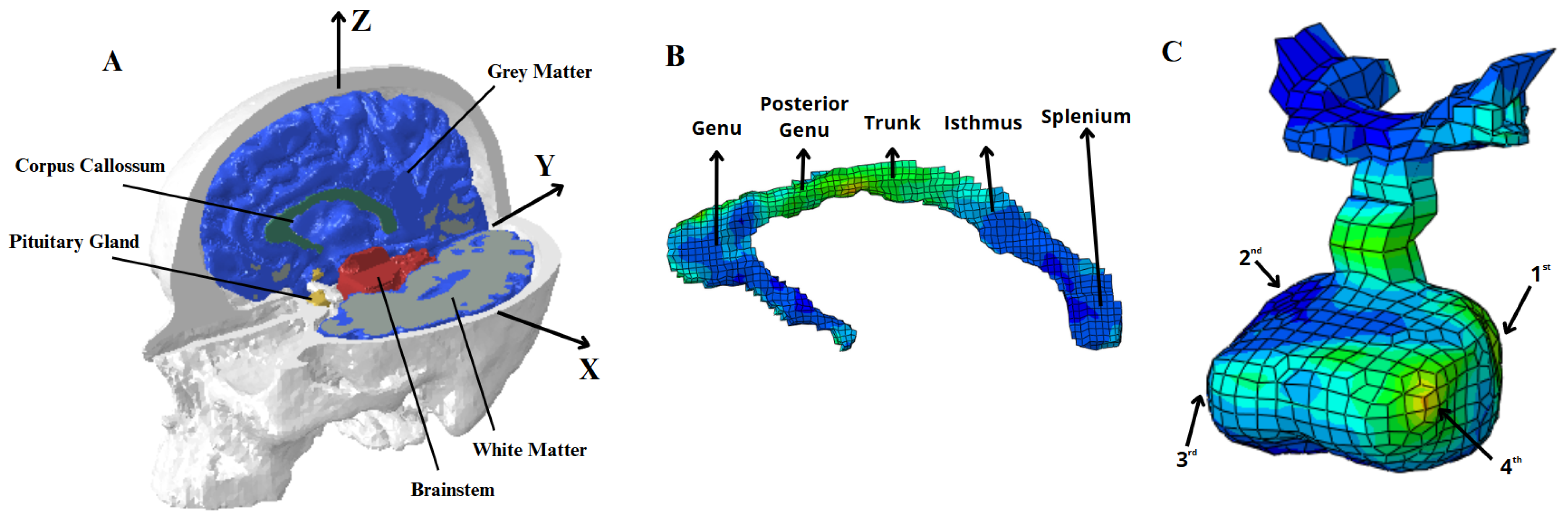 Applsci 15 11837 g001 Applsci 15 11837 g001