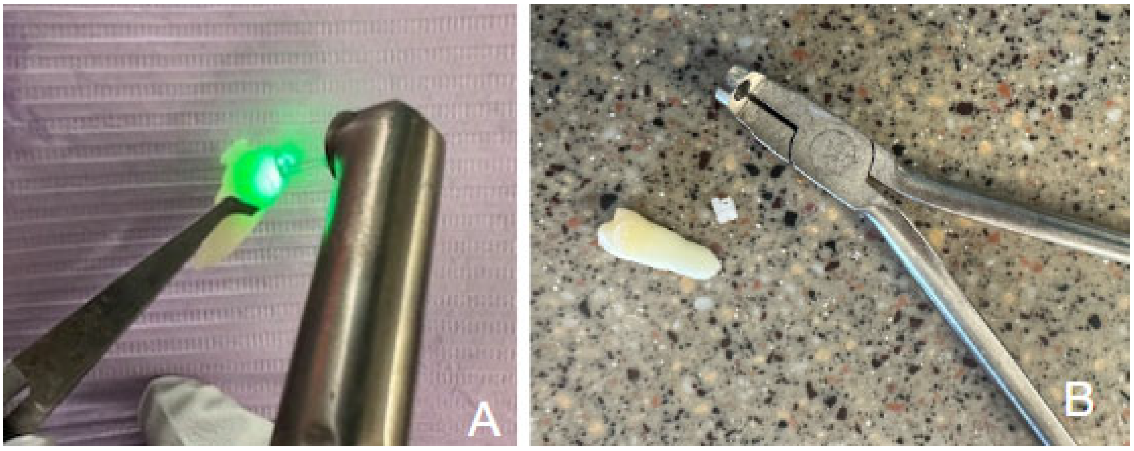 Applsci 15 11844 g001 Applsci 15 11844 g001