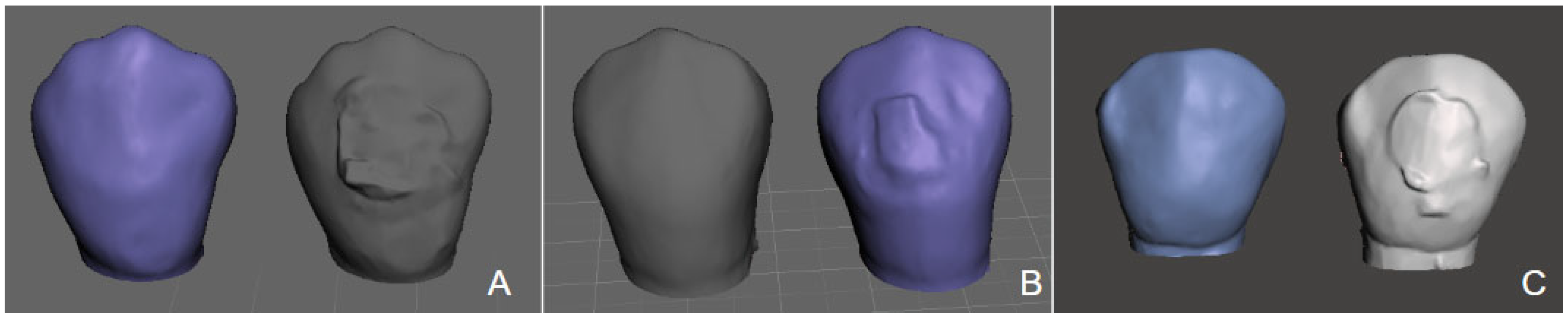 Applsci 15 11844 g002 Applsci 15 11844 g002