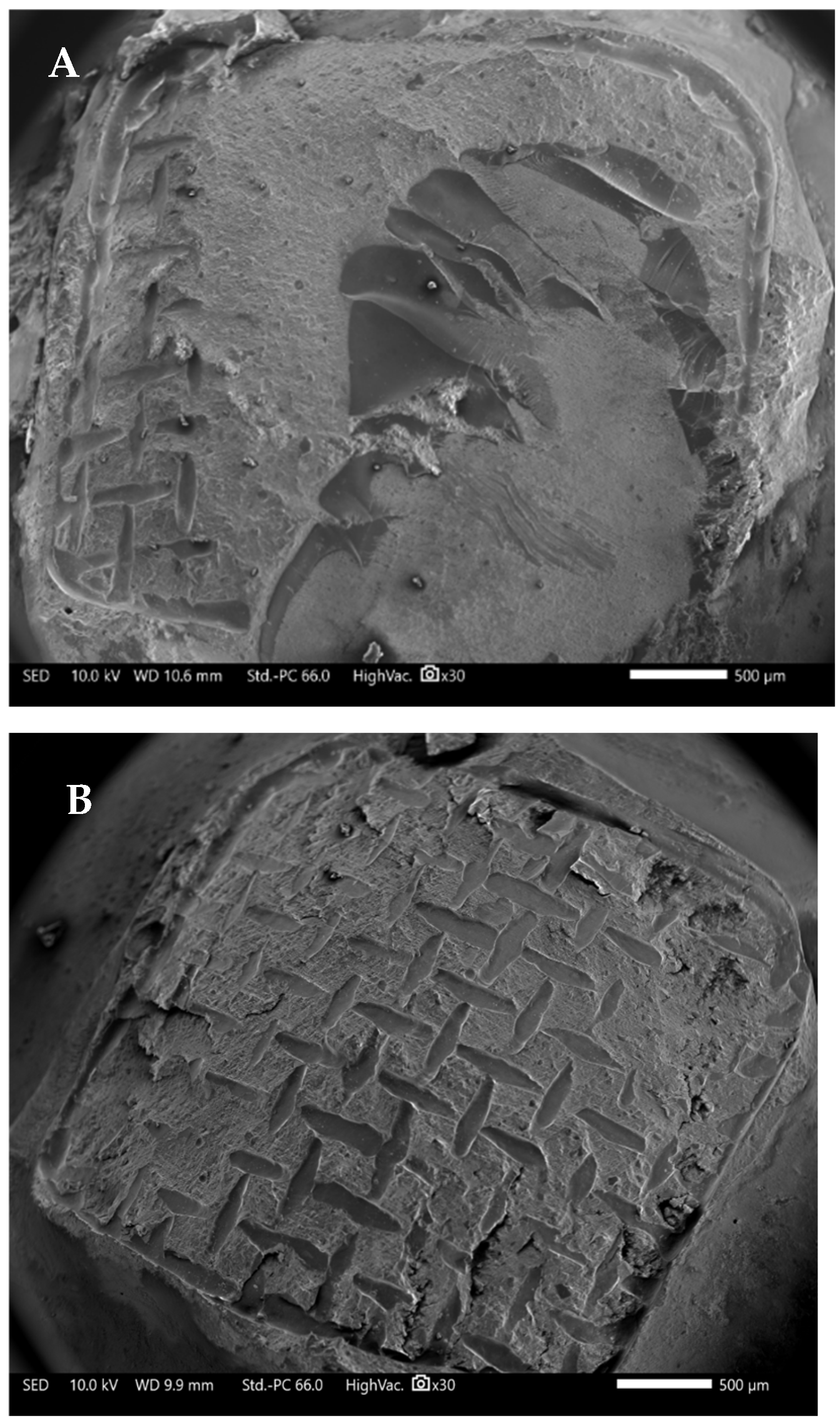 Applsci 15 11844 g003 Applsci 15 11844 g003