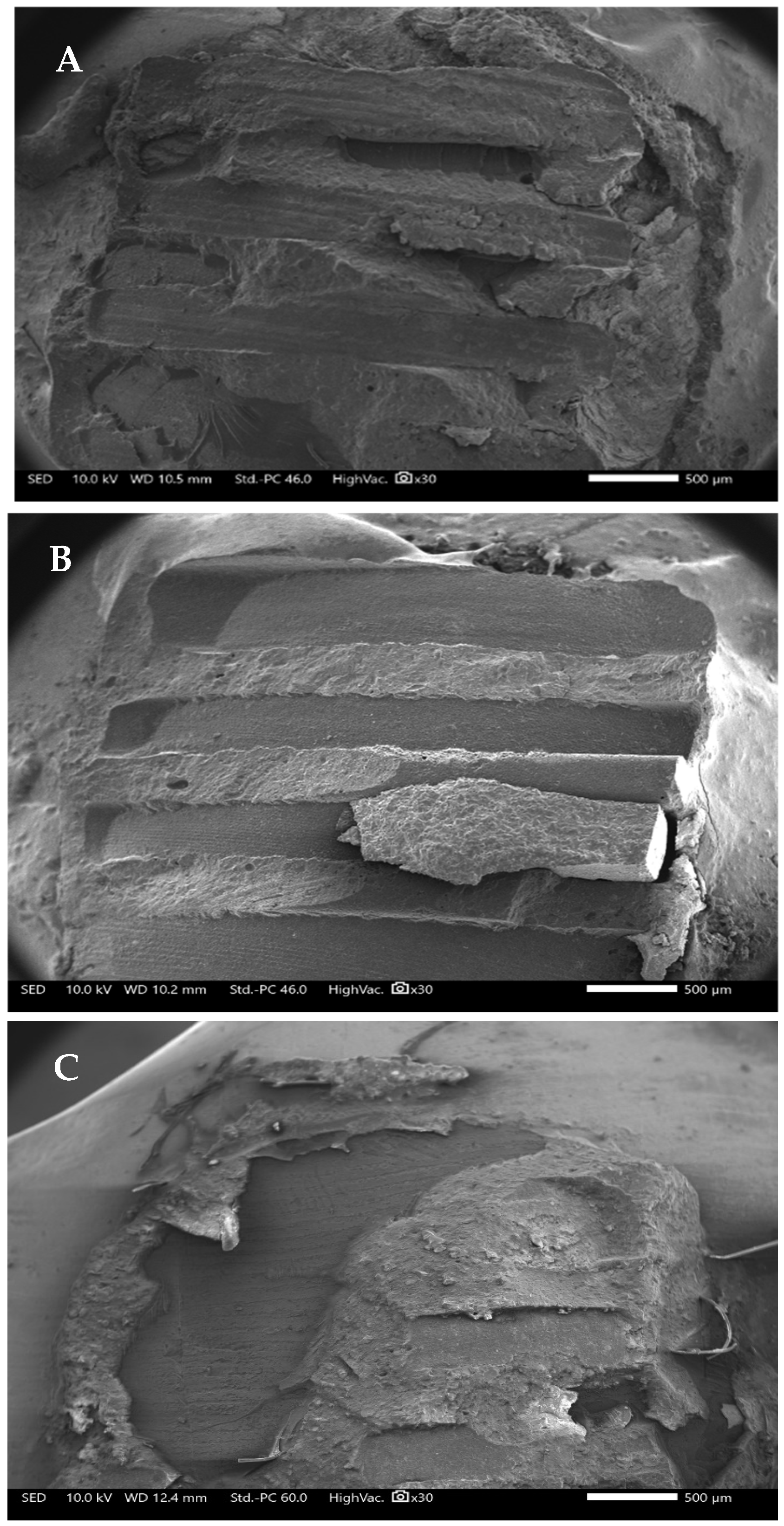 Applsci 15 11844 g004 Applsci 15 11844 g004