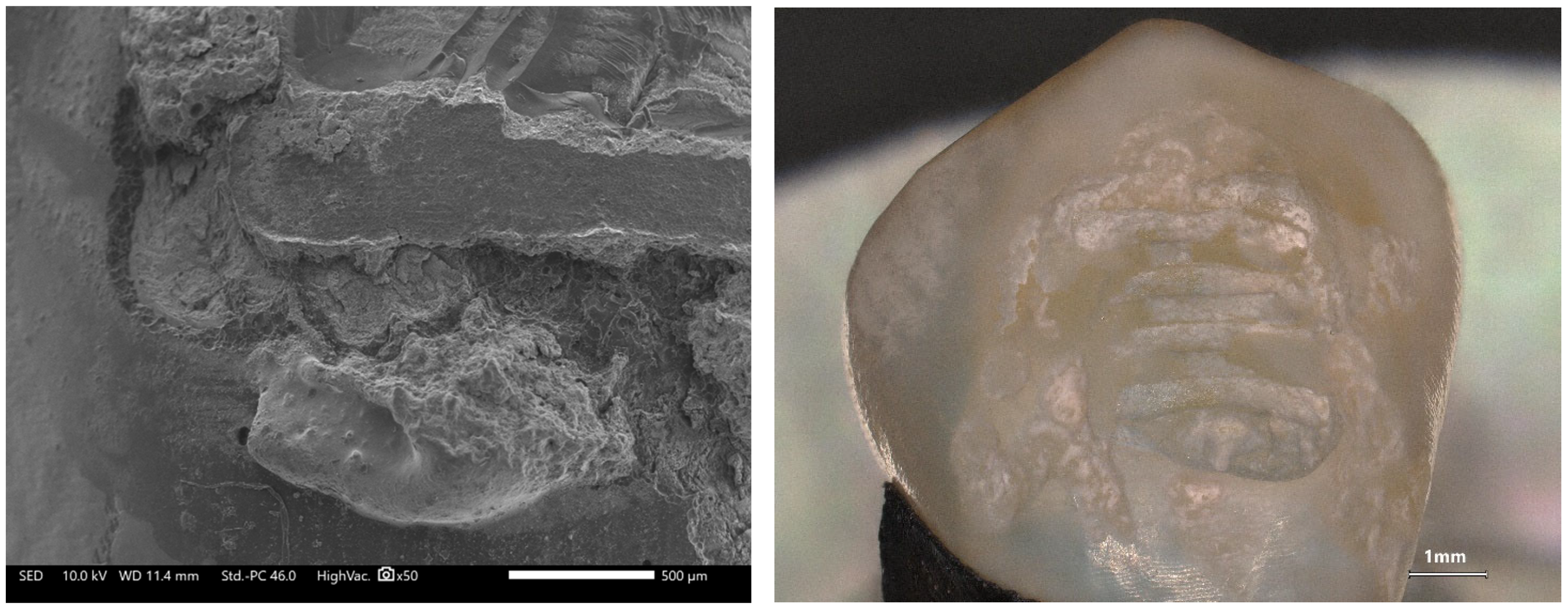 Applsci 15 11844 g005 Applsci 15 11844 g005