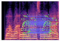 Applsci 15 11845 i006