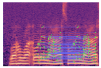 Applsci 15 11845 i012