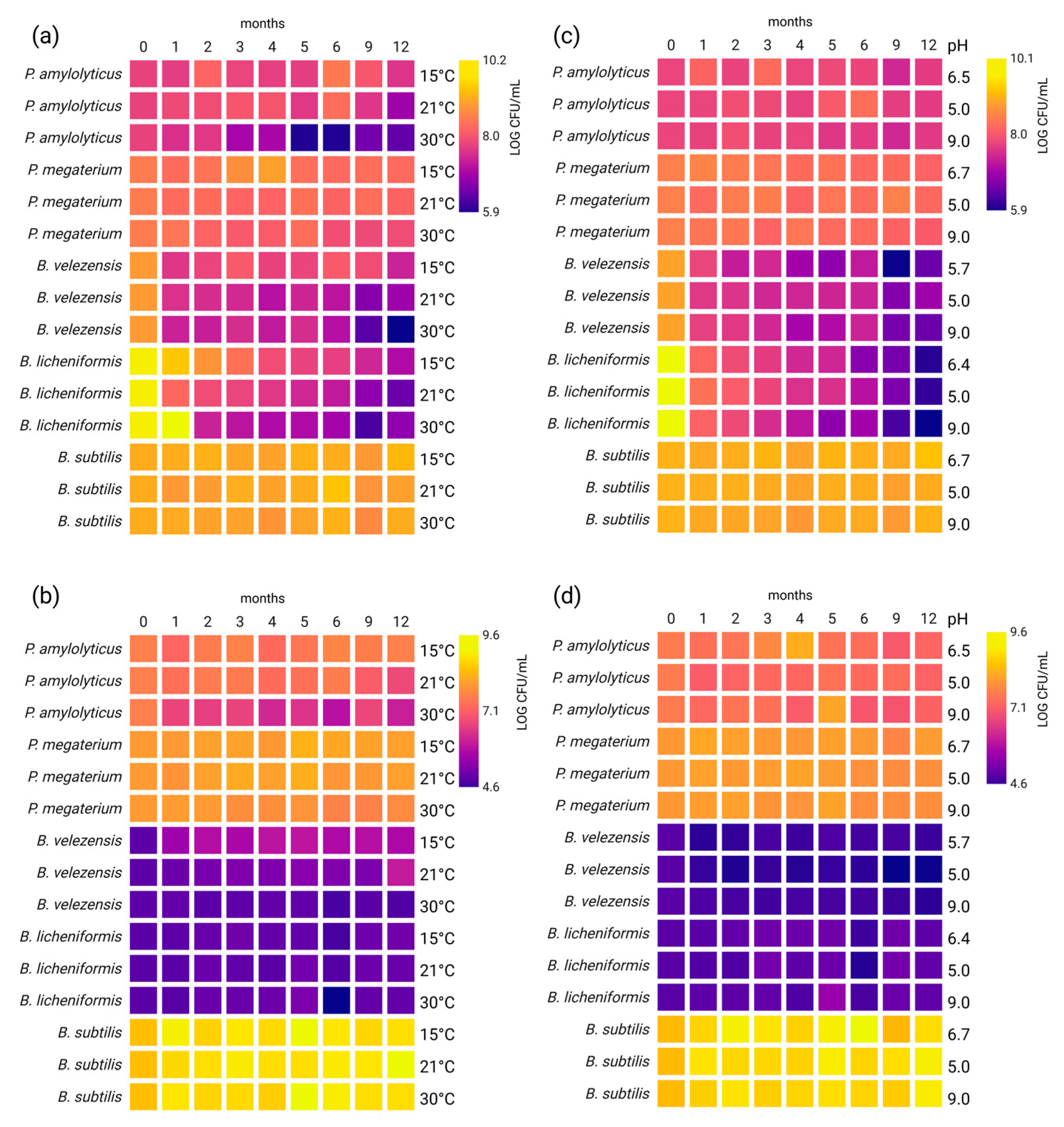 Applsci 15 11856 g002