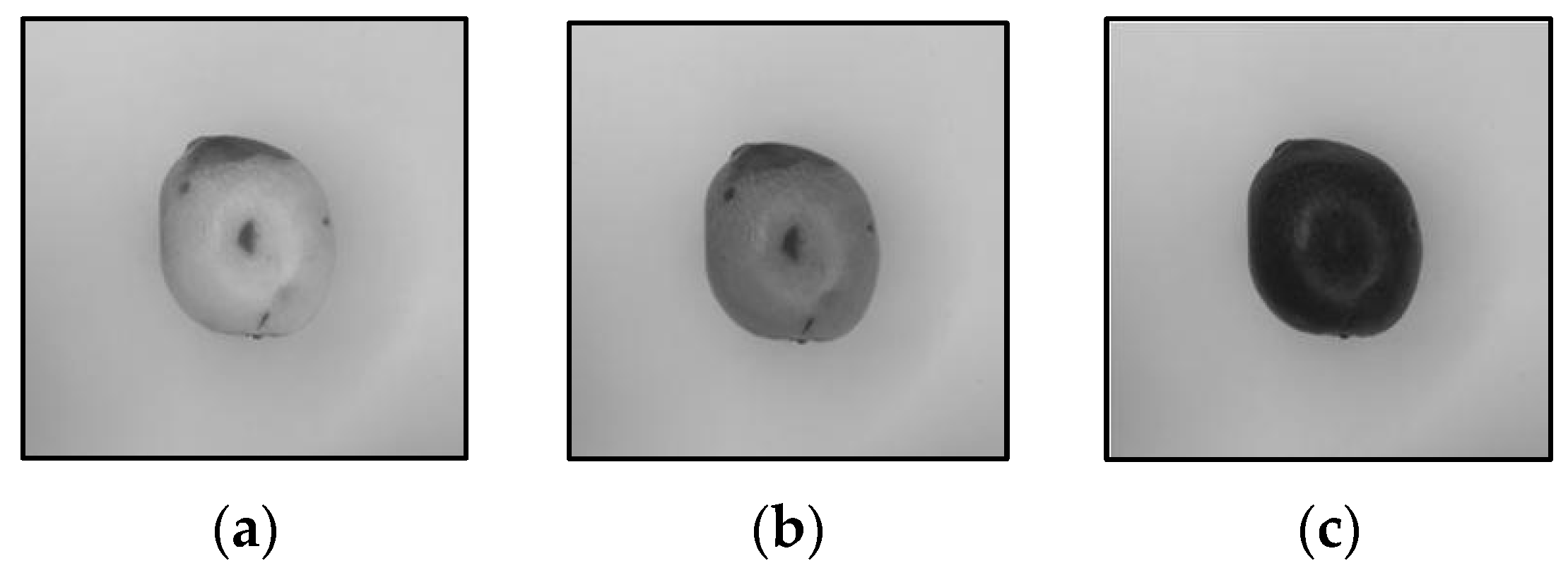 Applsci 15 11866 g003