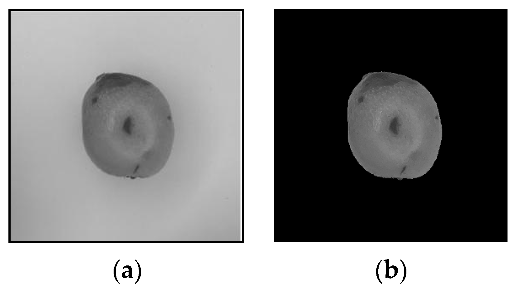 Applsci 15 11866 g004