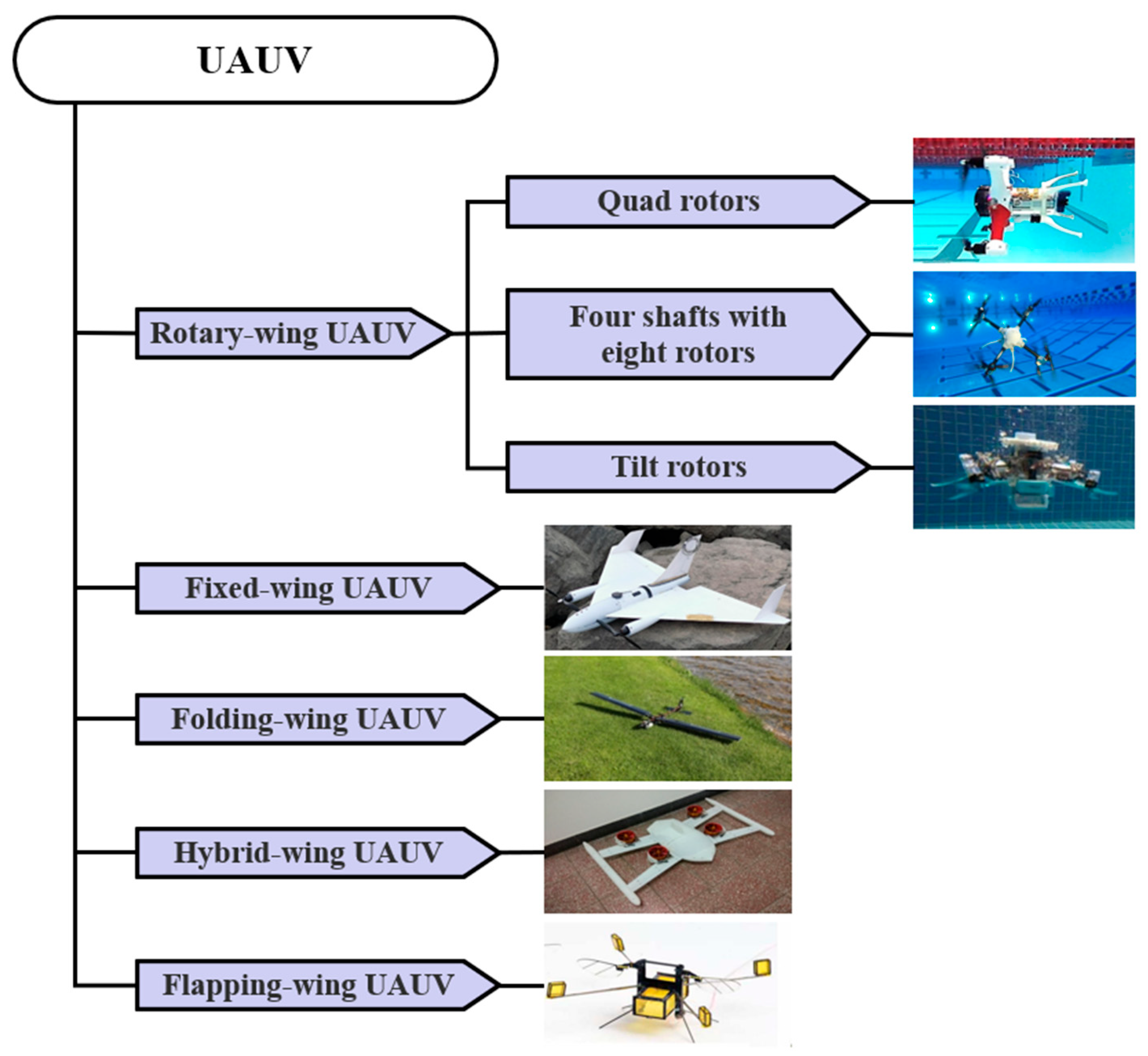 Applsci 15 11868 g003 Applsci 15 11868 g003