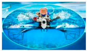 Applsci 15 11868 i007 Applsci 15 11868 i007