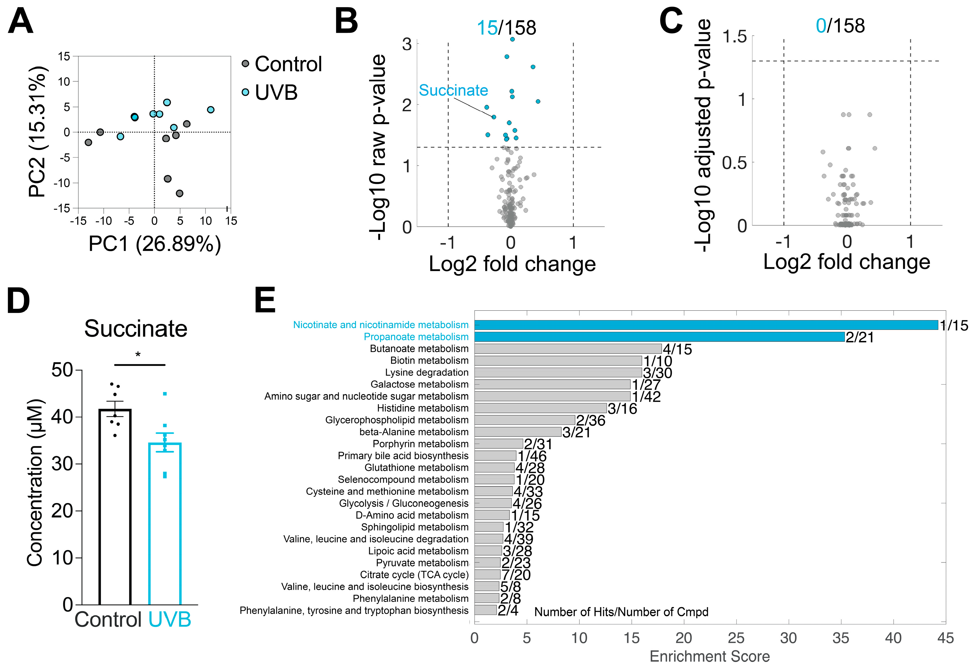Applsci 15 11869 g004 Applsci 15 11869 g004