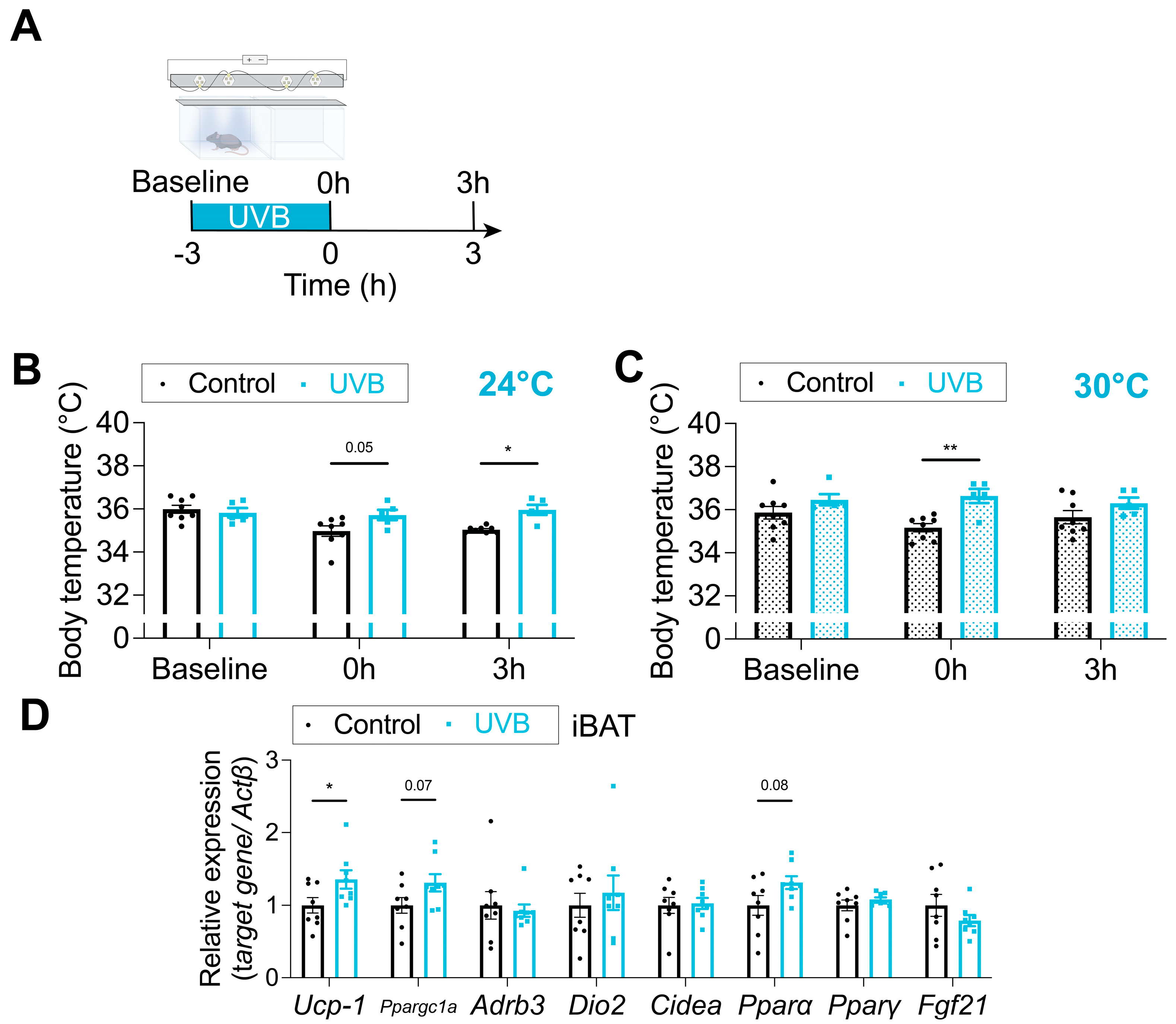 Applsci 15 11869 g005 Applsci 15 11869 g005