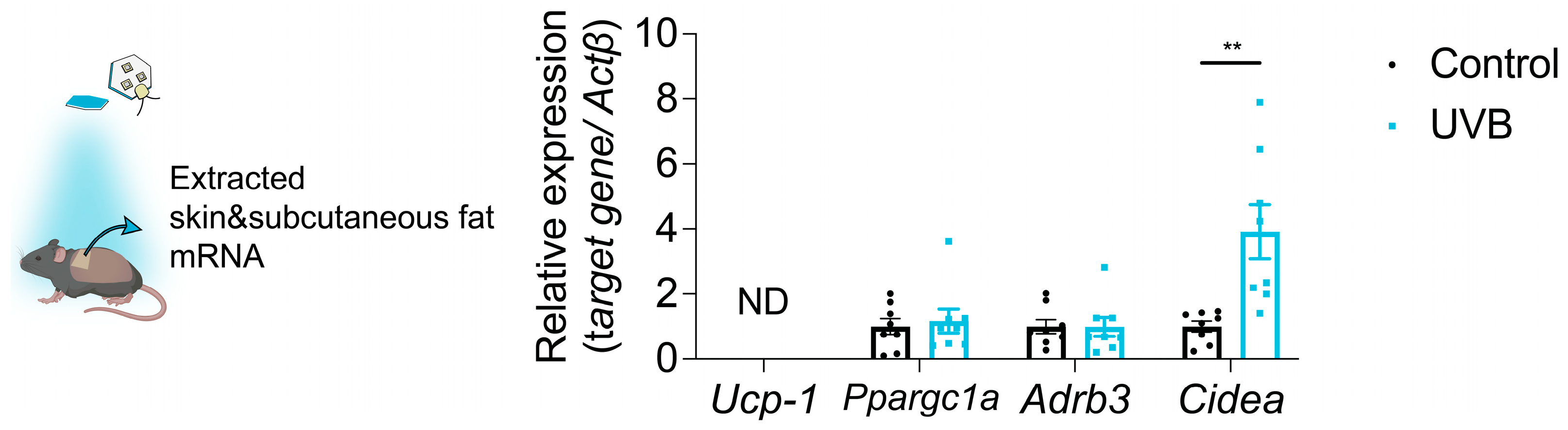 Applsci 15 11869 g006 Applsci 15 11869 g006