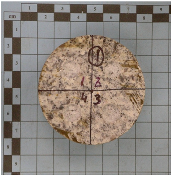 Applsci 15 11878 i001