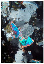 Applsci 15 11878 i003