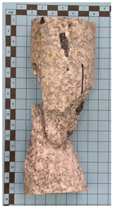 Applsci 15 11878 i004