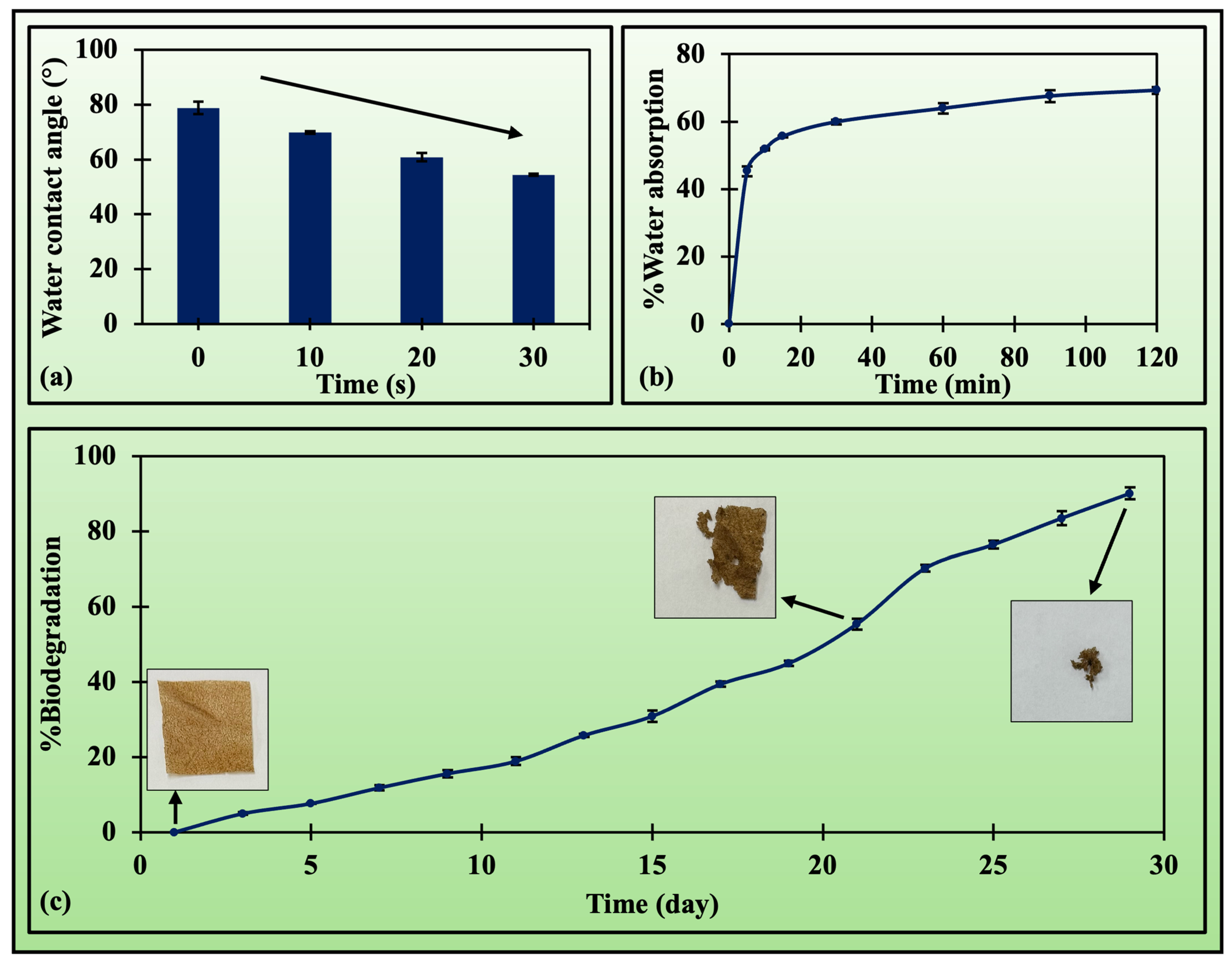 Applsci 15 11889 g003 Applsci 15 11889 g003