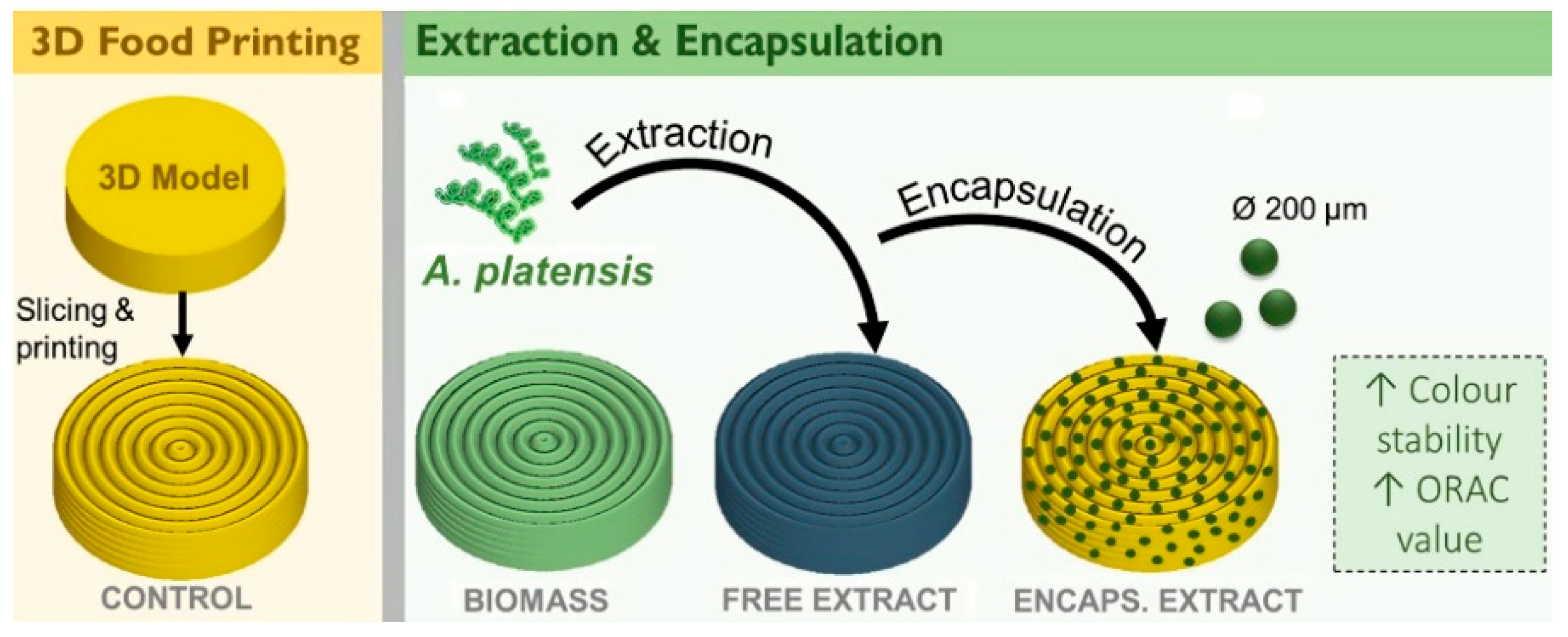 Applsci 15 11891 g006 Applsci 15 11891 g006