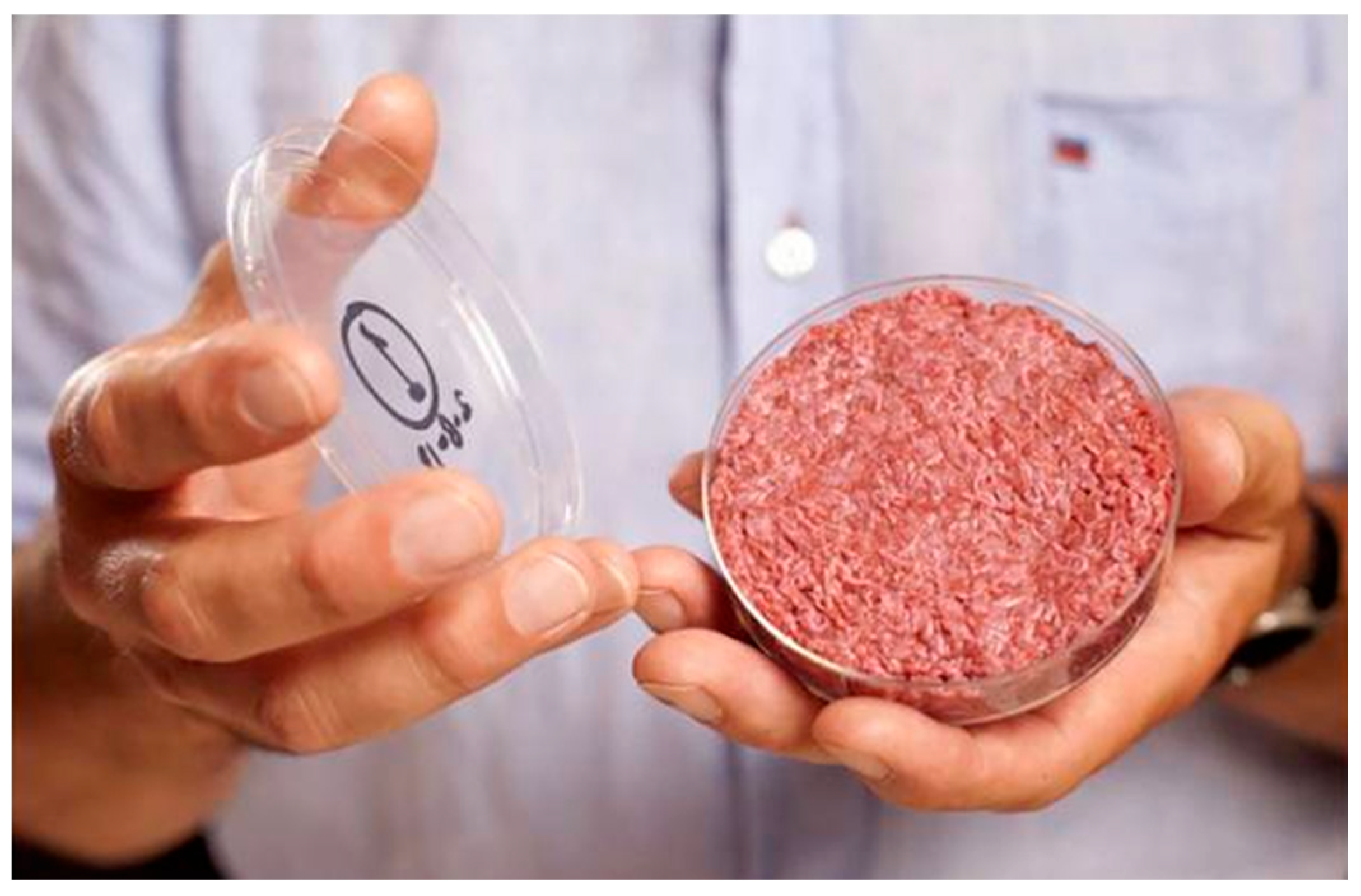 Applsci 15 11891 g008 Applsci 15 11891 g008