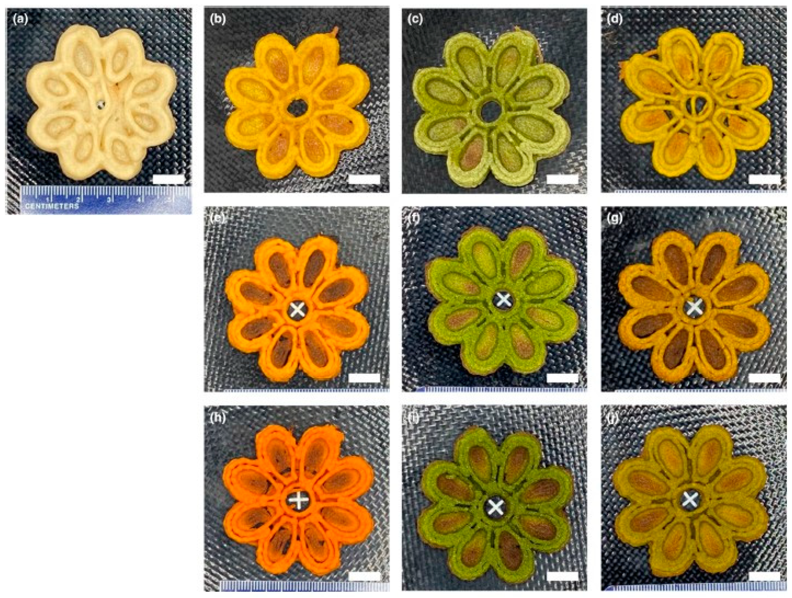 Applsci 15 11891 g009 Applsci 15 11891 g009