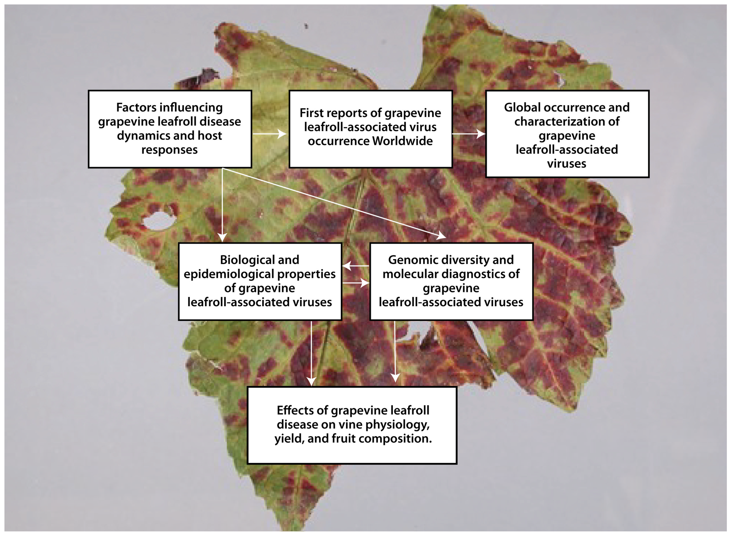 Applsci 15 11920 g003