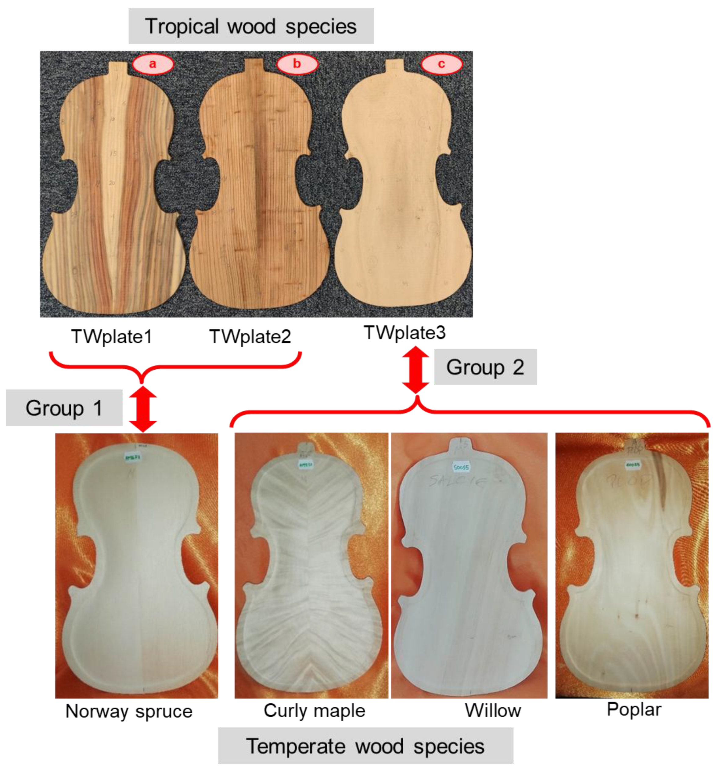 Applsci 15 11926 g004