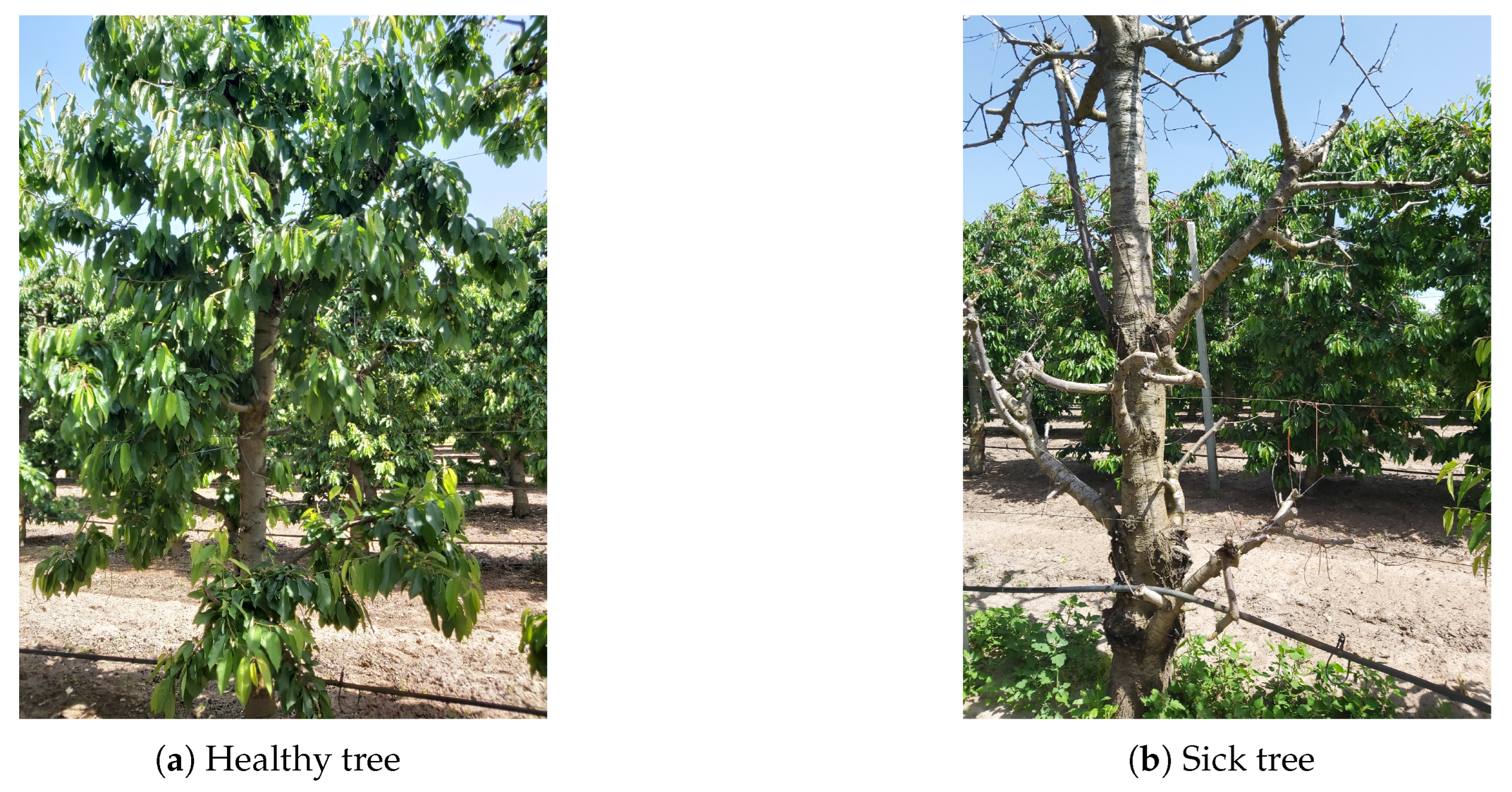 Applsci 15 11927 g006