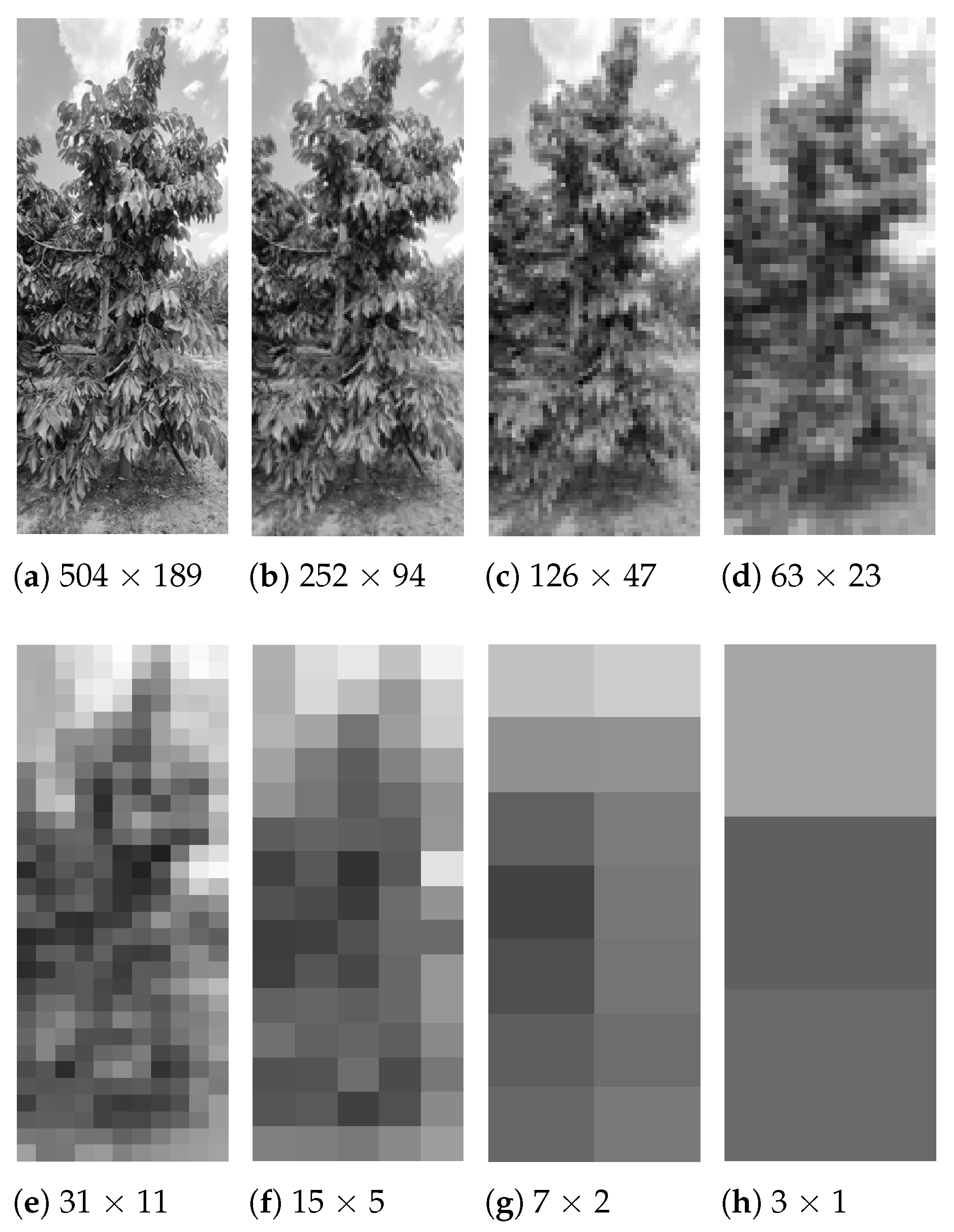 Applsci 15 11927 g007