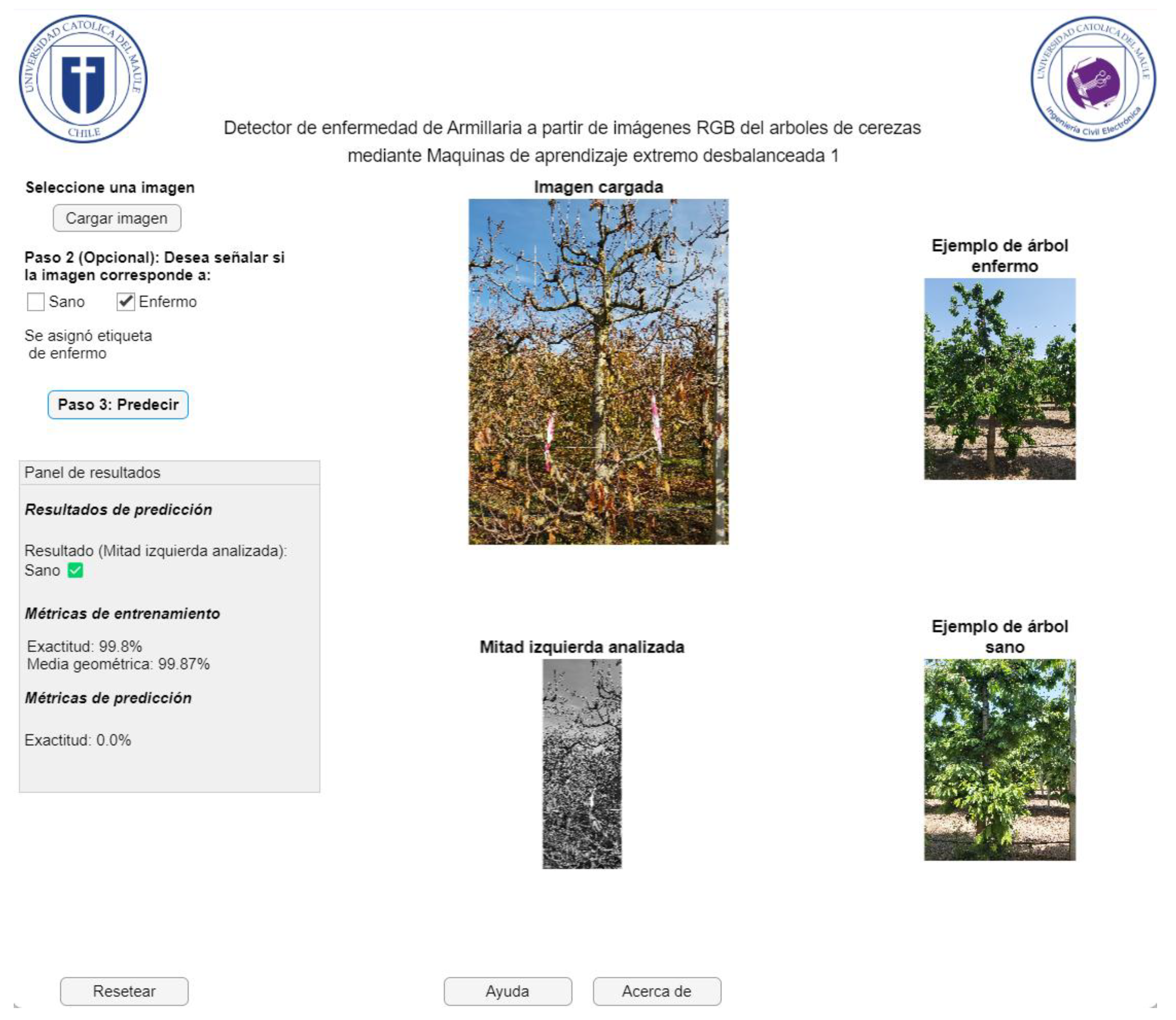 Applsci 15 11927 g019