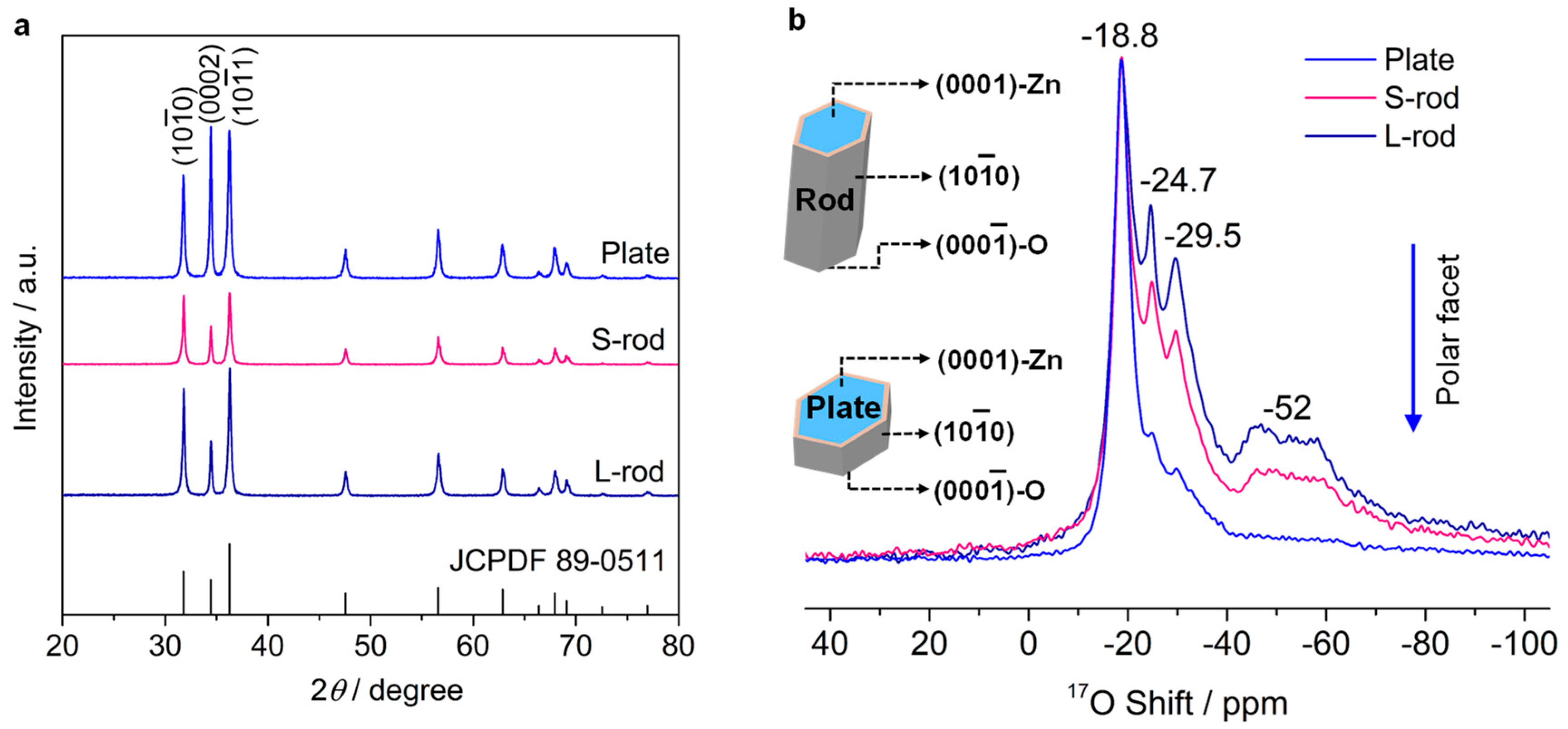 Applsci 15 11938 g001