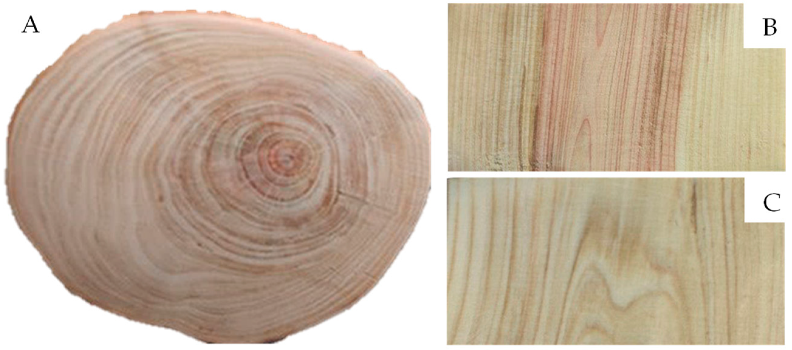 Applsci 15 11947 g001