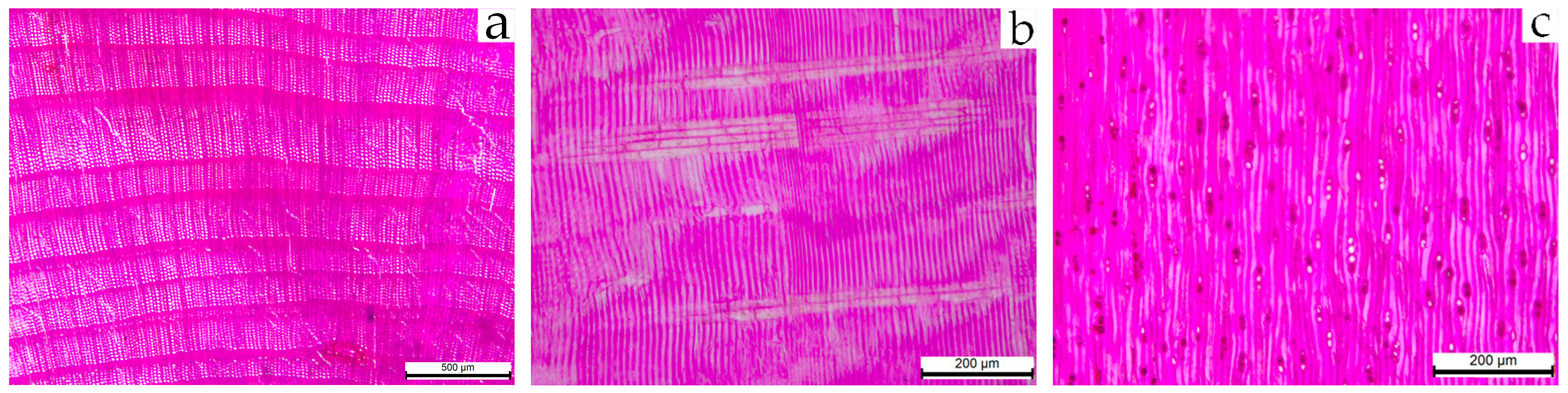 Applsci 15 11947 g002