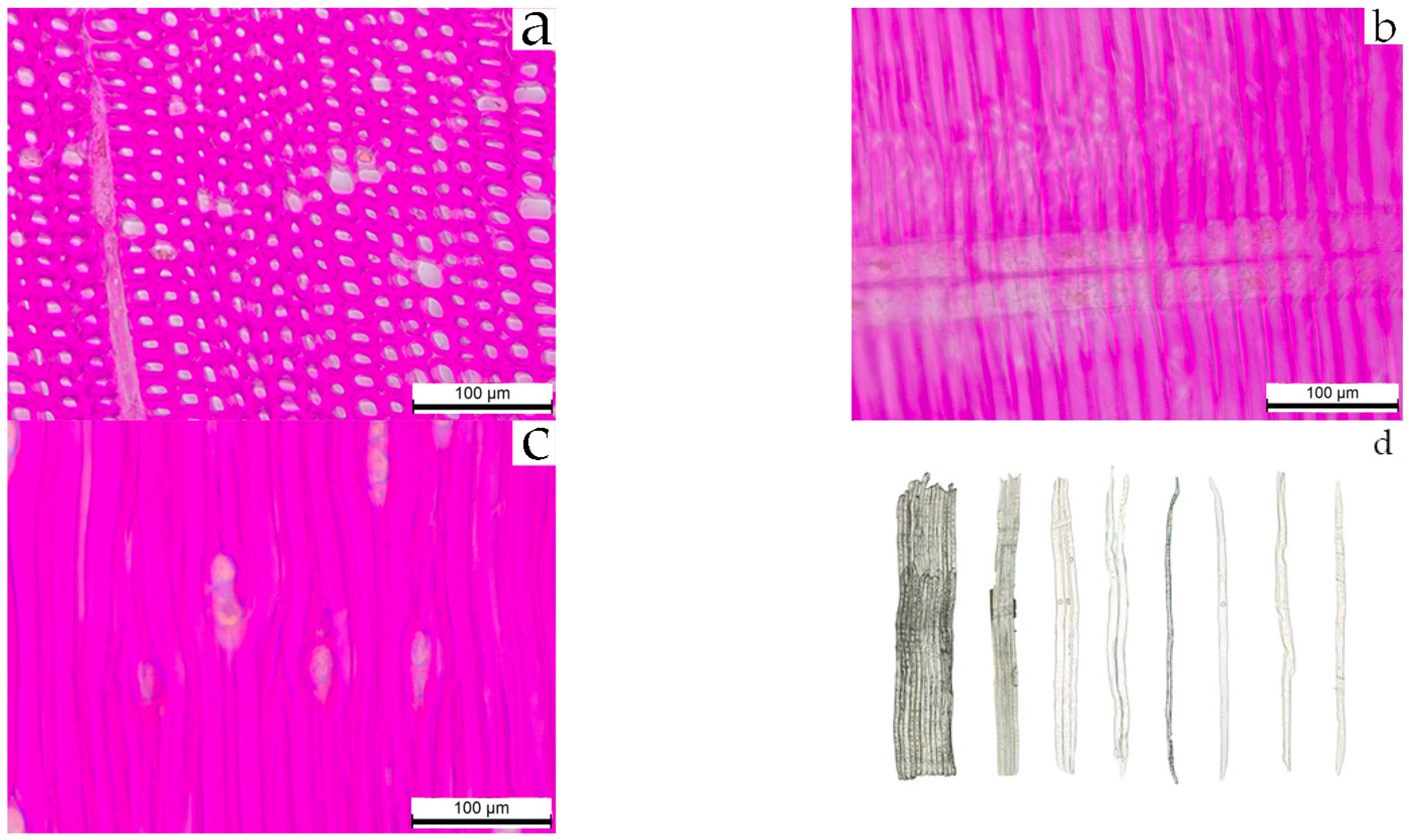 Applsci 15 11947 g003